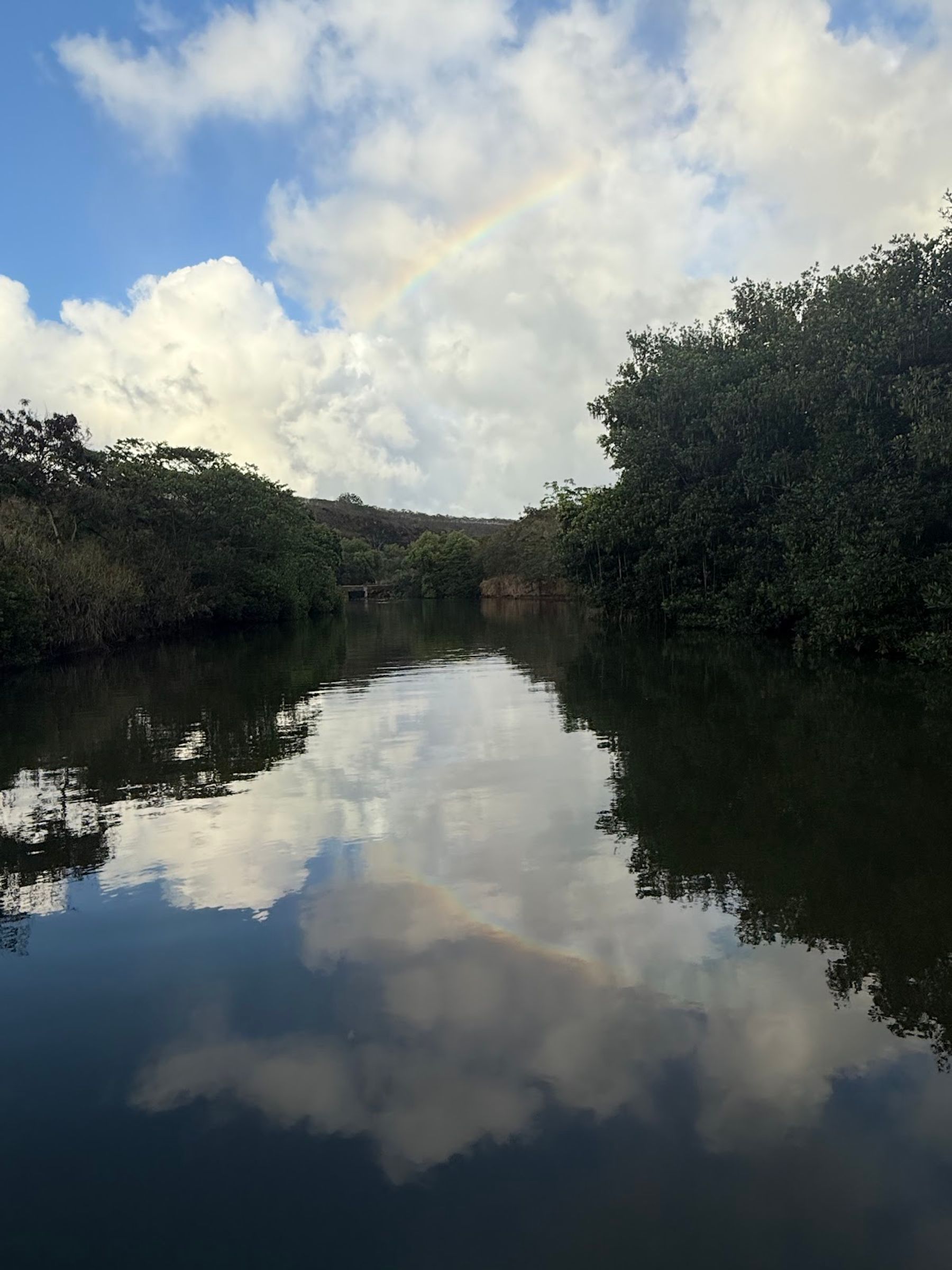Photo 3 of Rainbow Watersports in Haleʻiwa, Oahu