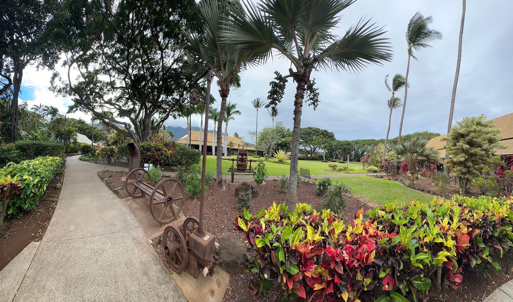 Photo 8 of Cafe O'Lei at the Plantation in Wailuku, Maui