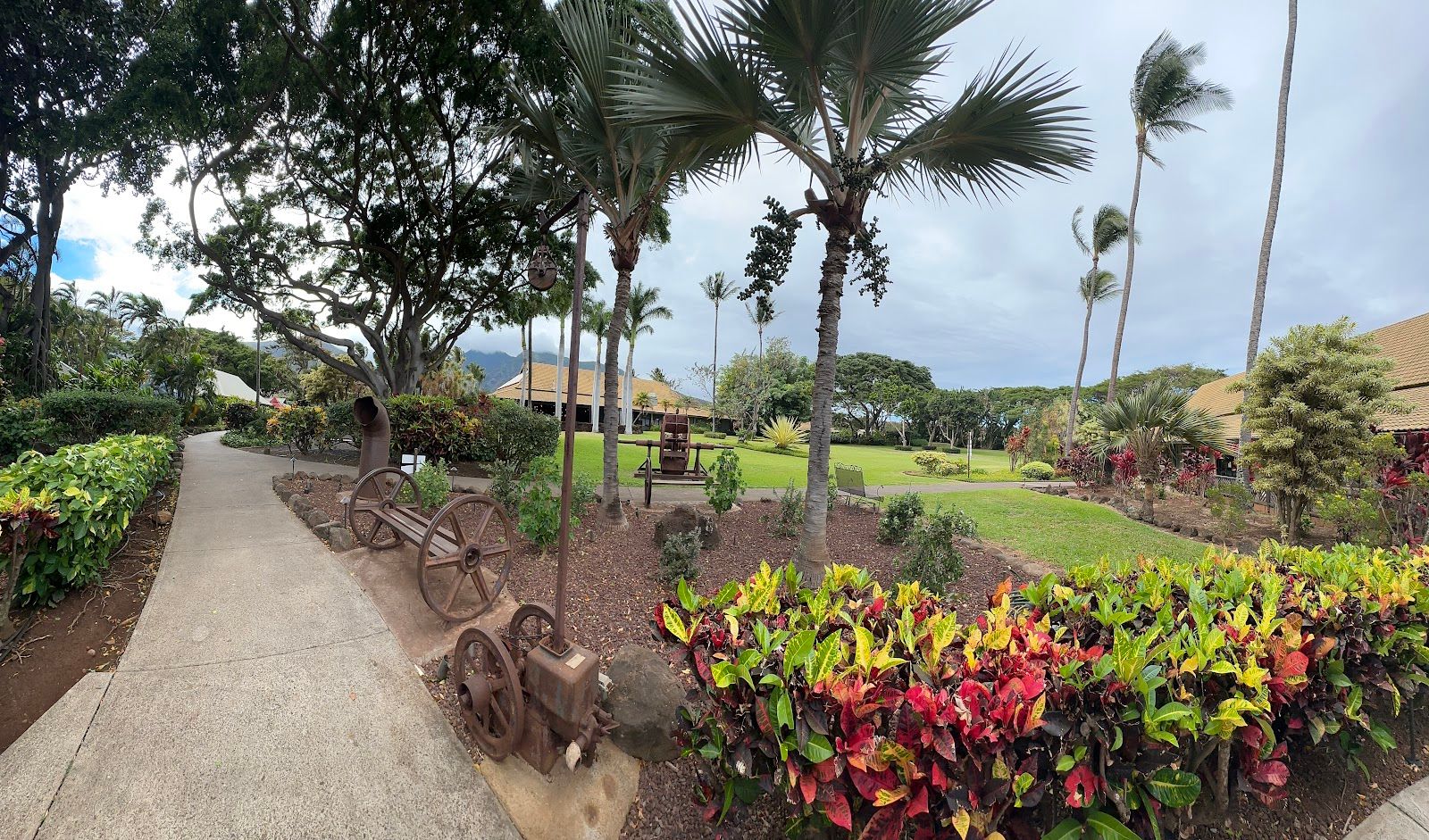 Photo 8 of Cafe O'Lei at the Plantation in Wailuku, Maui