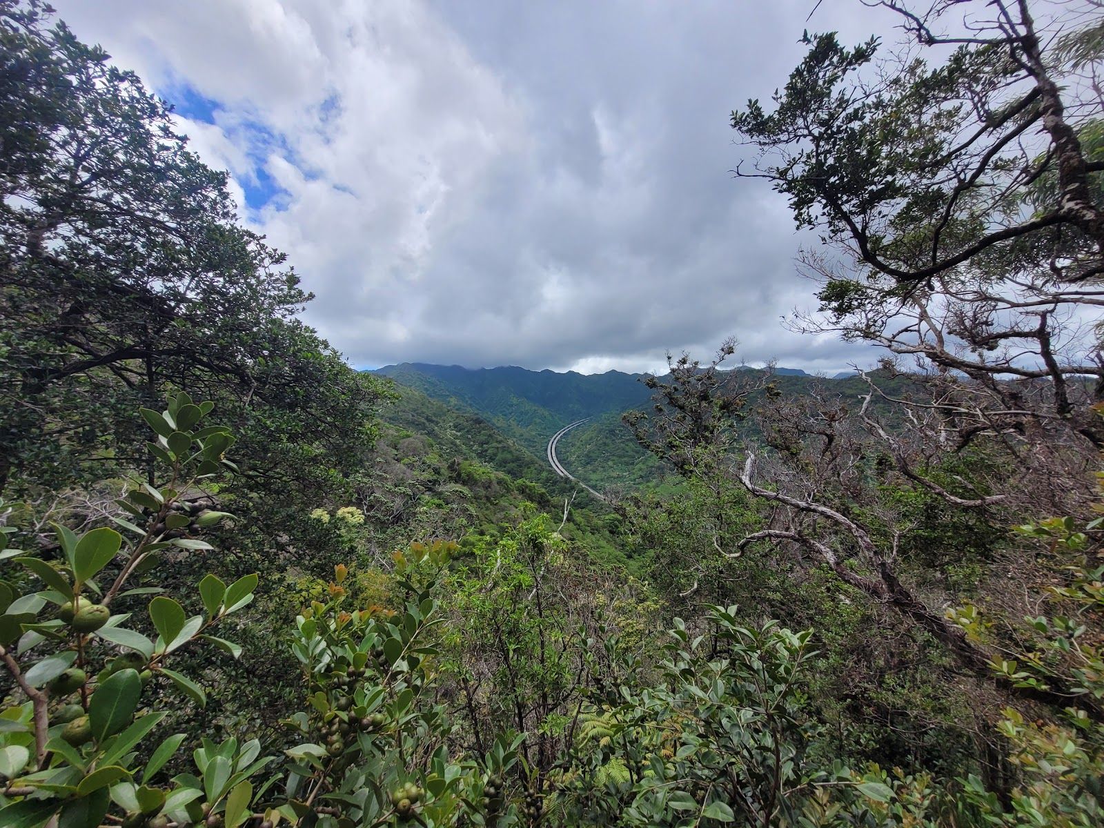 Photo 2 of ʻAiea Loop Trailhead in Pearl Harbor & ʻAiea, Oahu