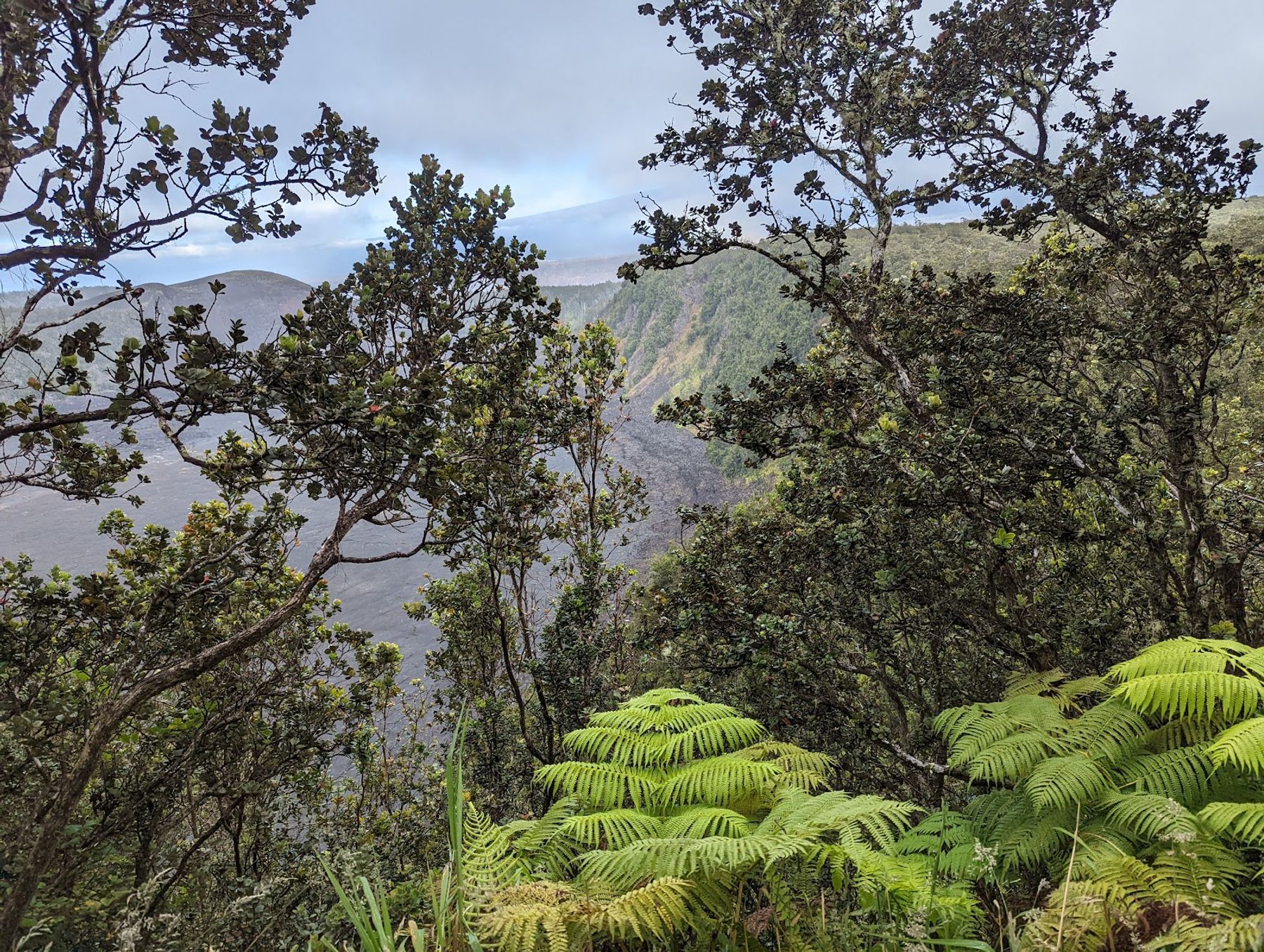 Photo 7 of Kīlauea Iki Trailhead in Volcano, Big Island