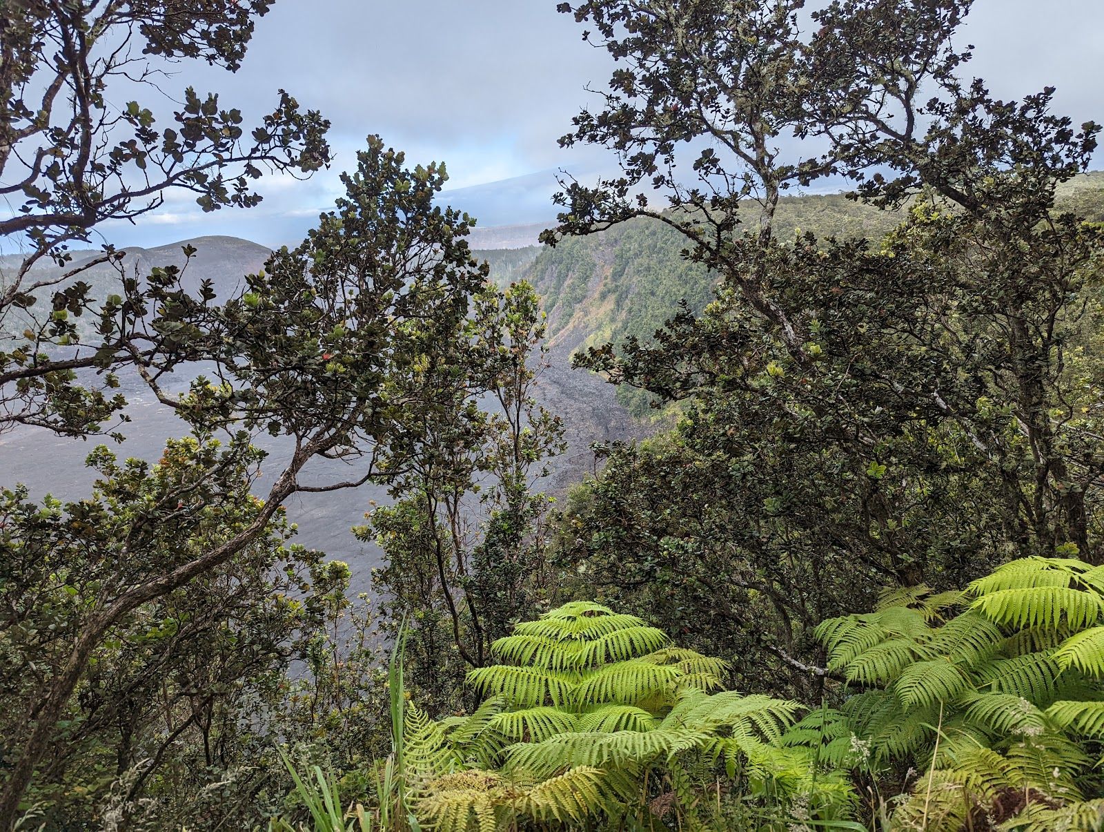 Photo 7 of Kīlauea Iki Trailhead in Volcano, Big Island