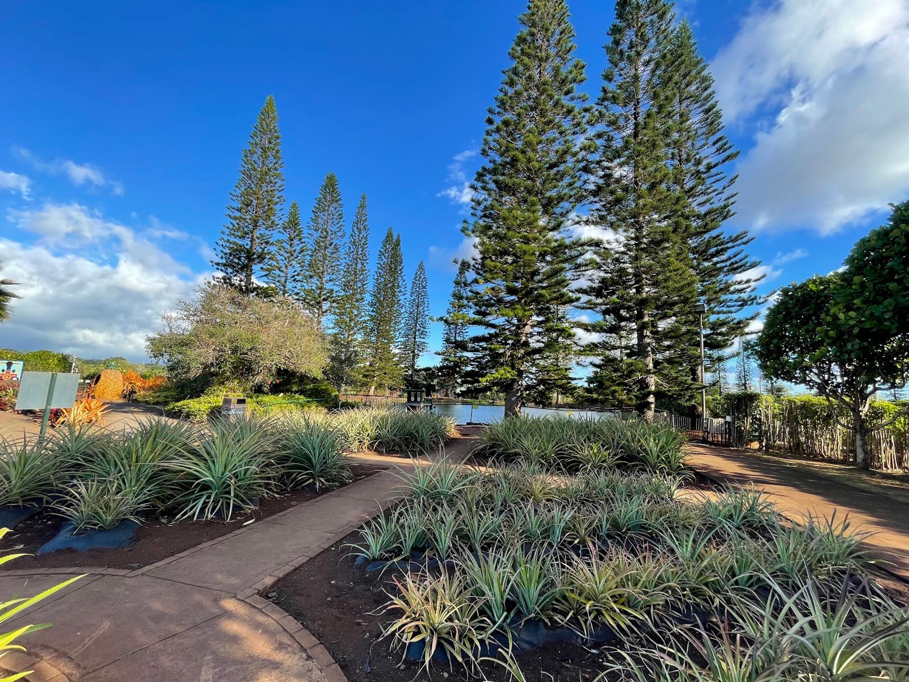 Photo 8 of Oahu Nature Tours in ʻEwa Beach, Oahu