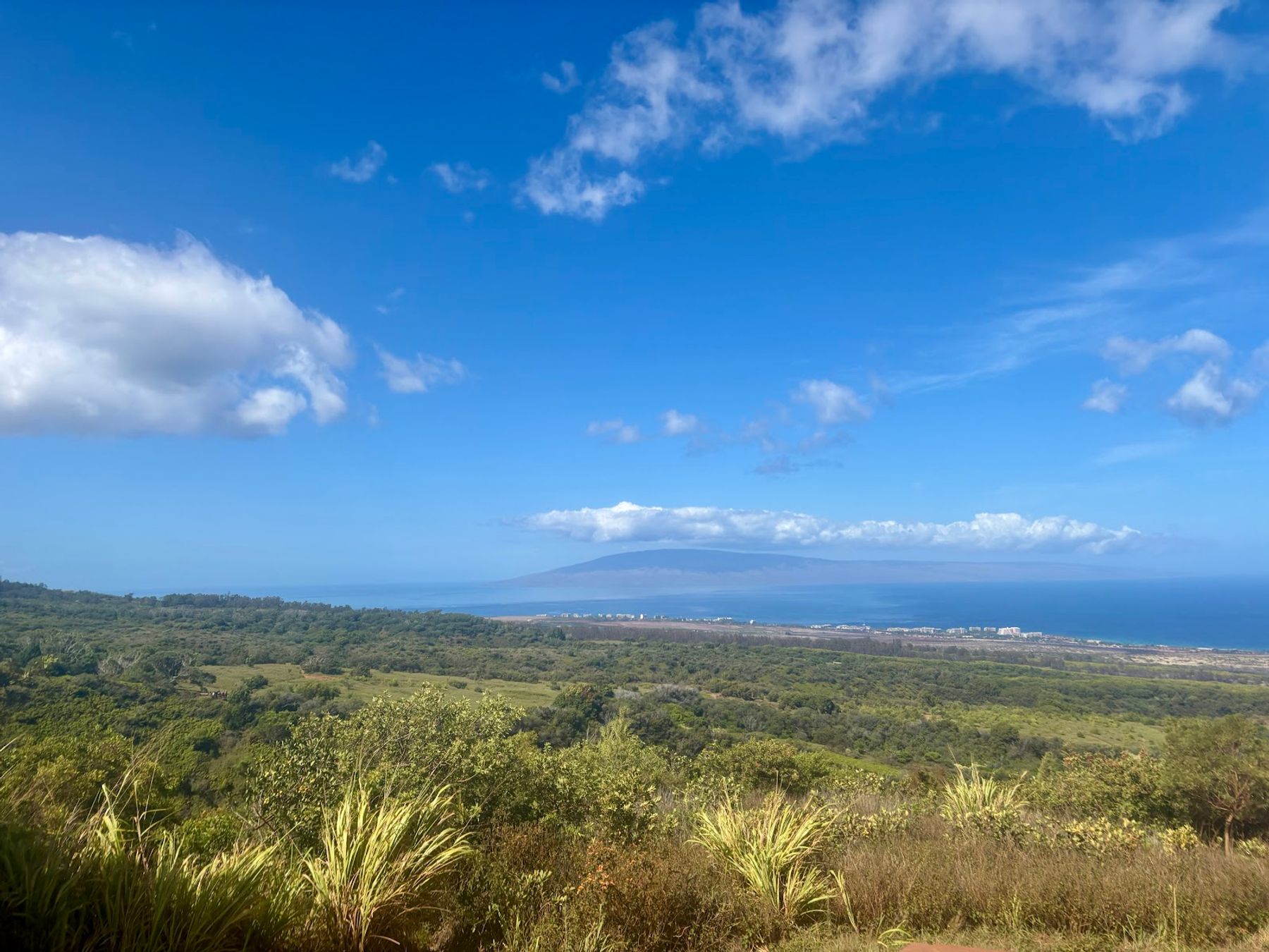 Photo 7 of Kapalua Ziplines in Kapalua, Maui