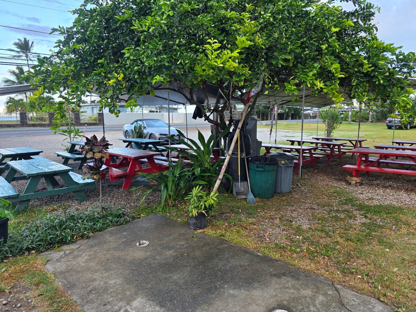 Photo 10 of Pho Vientiane in Kualoa & North Windward, Oahu
