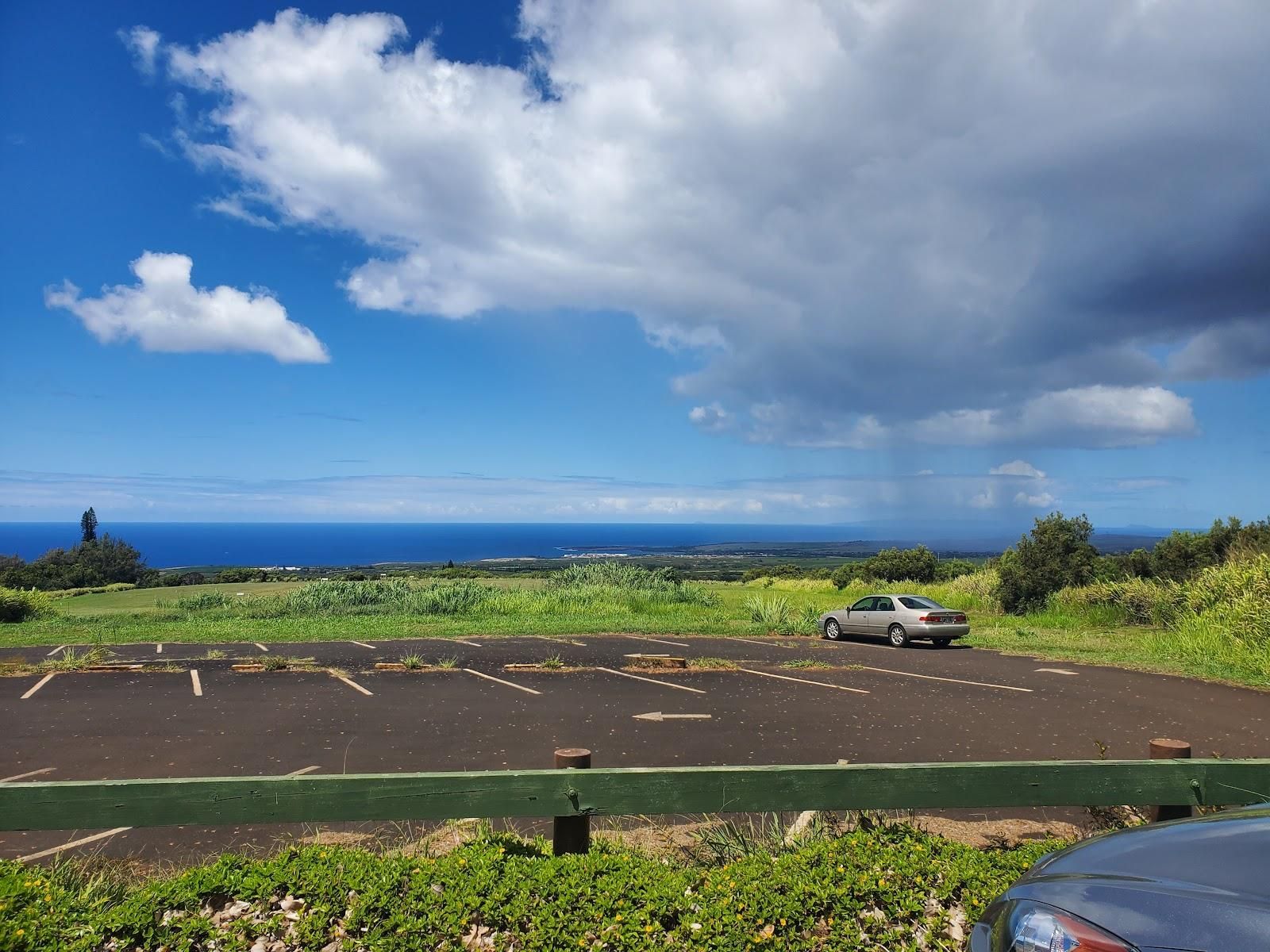 Paco's Tacos Kalaheo restaurant in Kalaheo, Kaua‘i photo 4