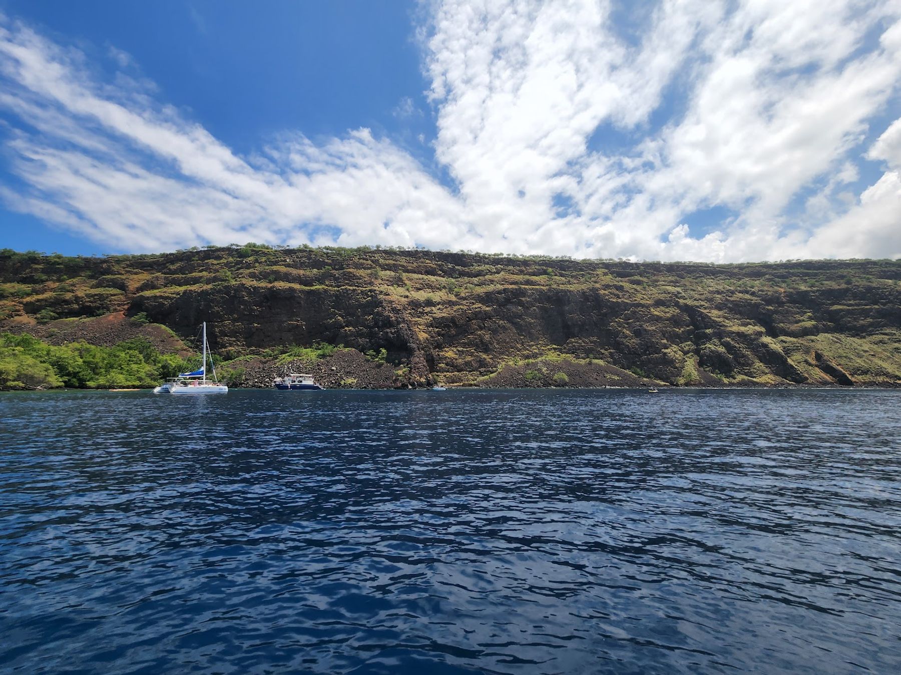 Photo 4 of Wild Hawai‘i Ocean Adventures in Kailua-Kona, Big Island