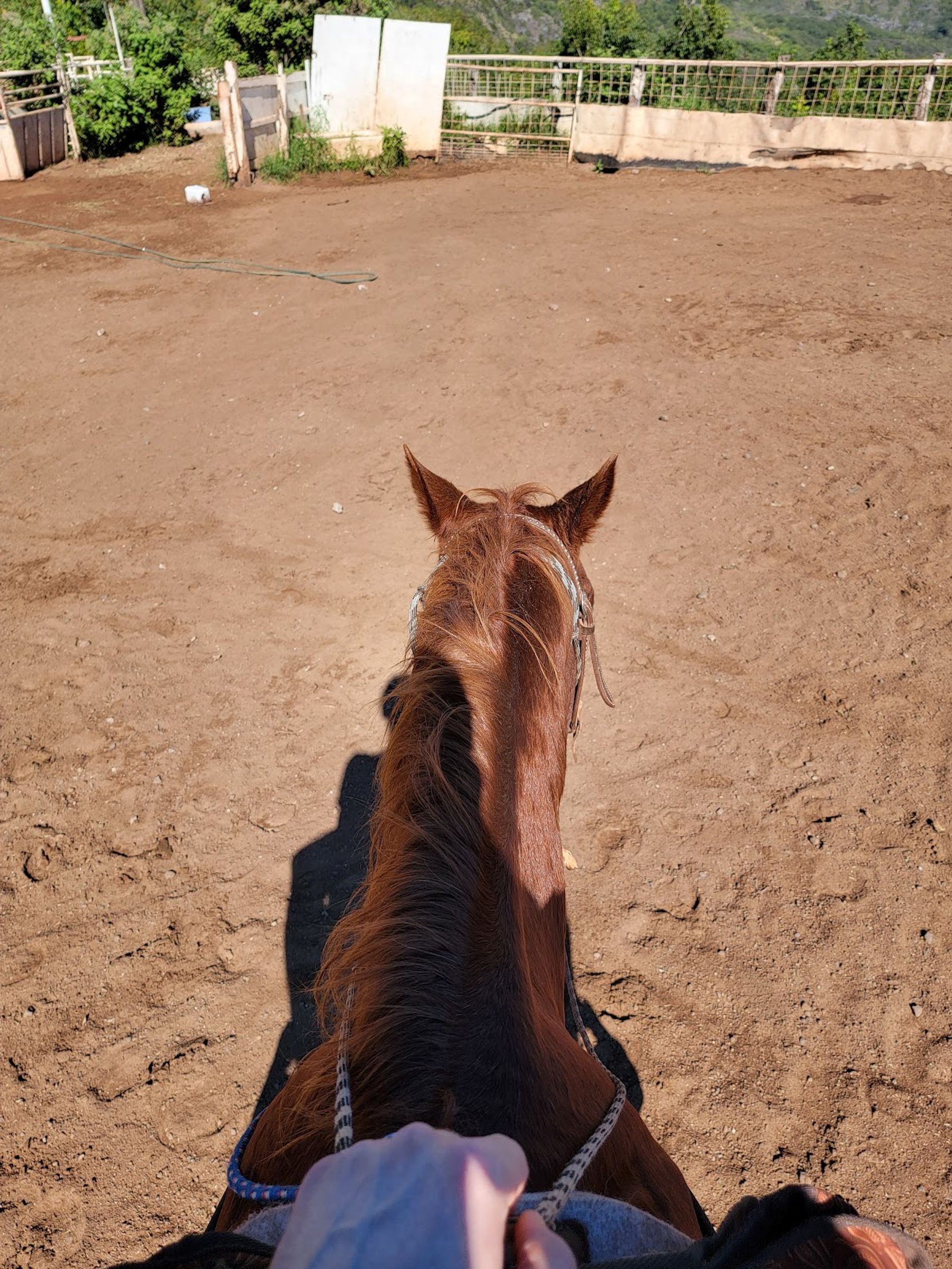 Photo 8 of Circle M Ranch, formerly Mendes Ranch in Wailuku, Maui
