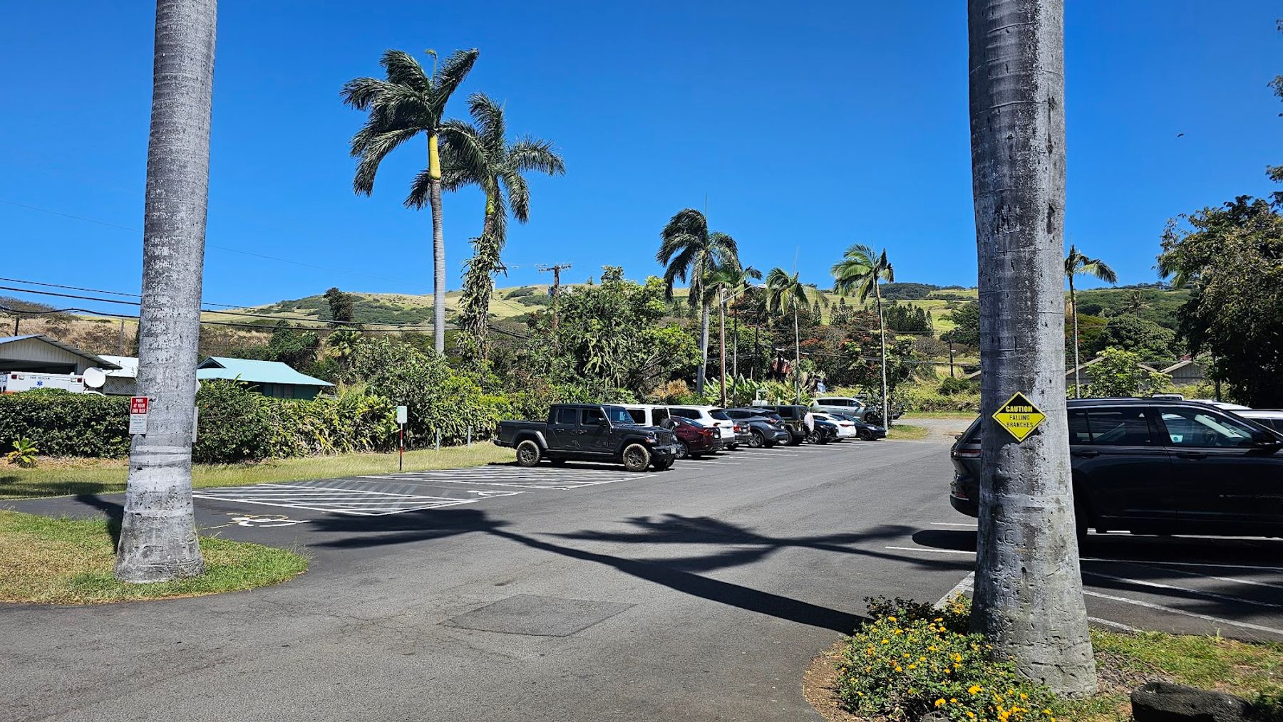 Photo 10 of Kailani Tours Hawaii in Kailua-Kona, Big Island