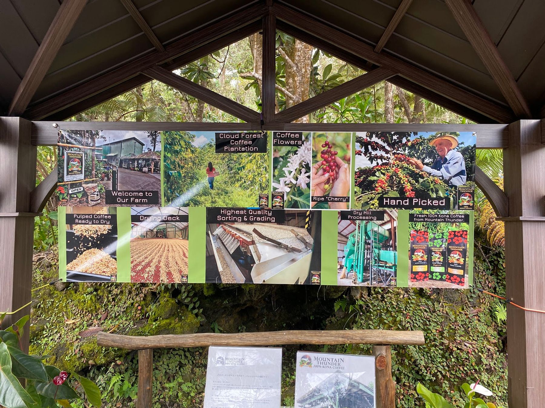 Photo 10 of Mountain Thunder Coffee Plantation in Hōlualoa, Big Island