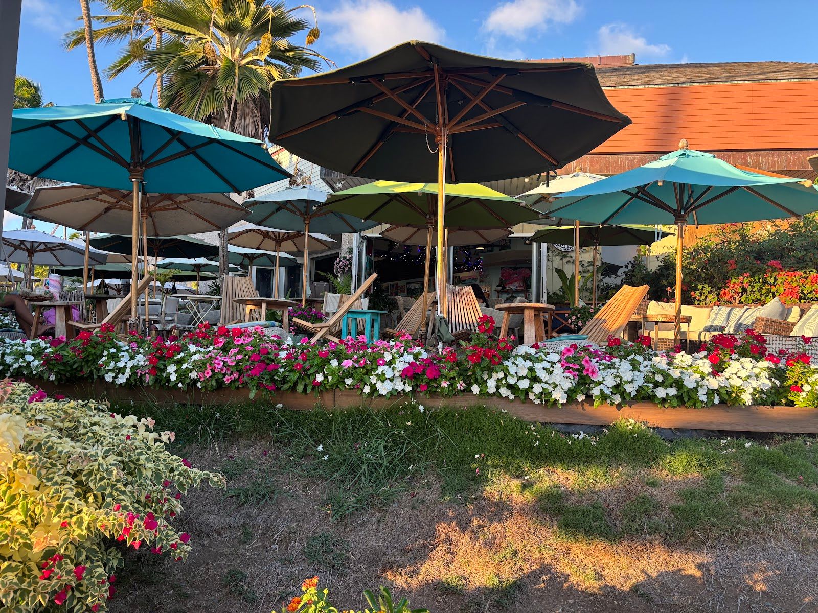 Photo 7 of Island Brew Coffeehouse in Hawaiʻi Kai & East Honolulu, Oahu