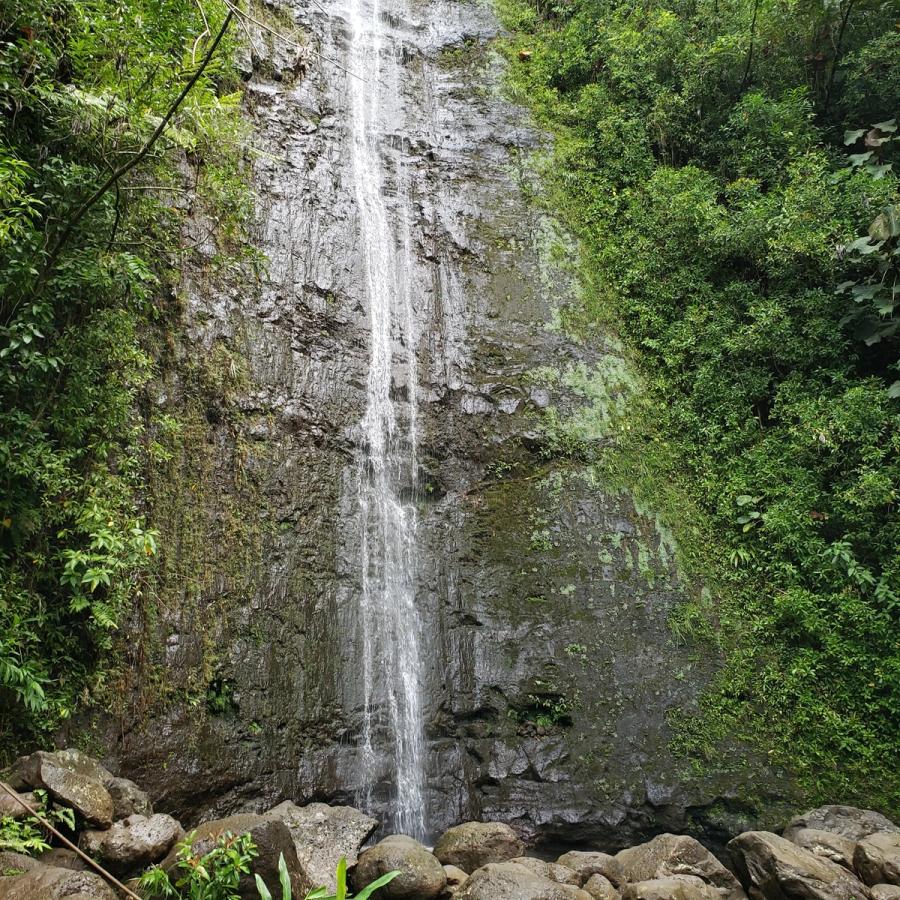 Photo 1 of Mānoa Falls Trail in Mānoa, Makiki & Nuʻuanu, Oahu