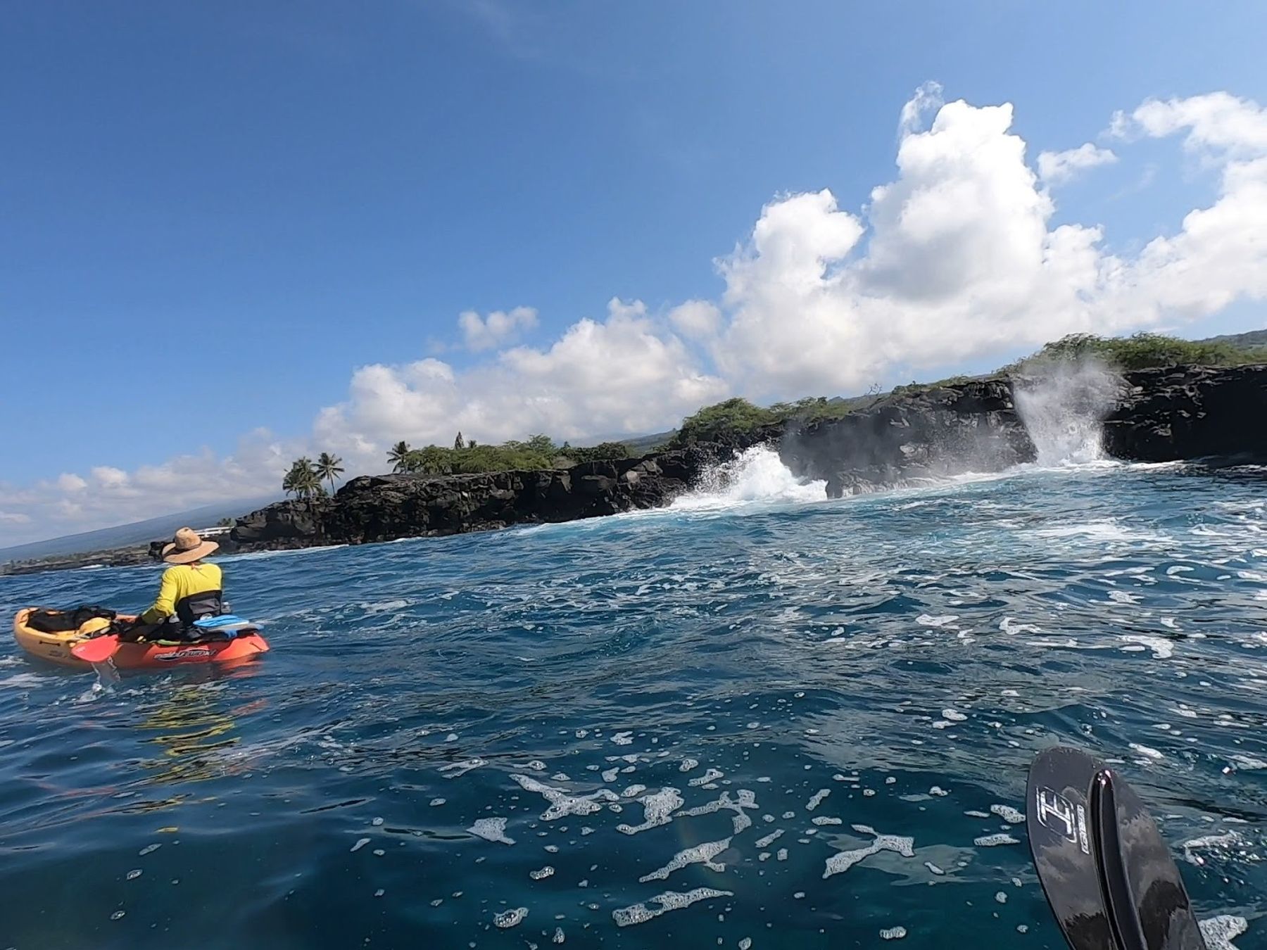 Photo 3 of King Kayak Hawaii in Kailua-Kona, Big Island