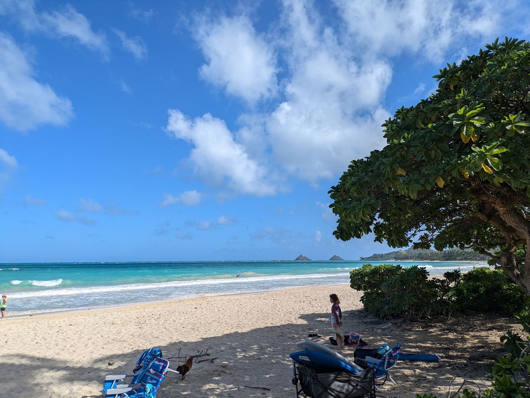 Photo 3 of Kalama Beach Park in Kailua & Lanikai, Oahu