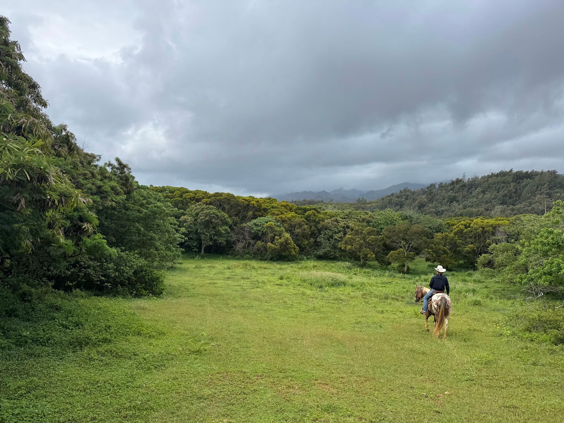 Photo 4 of Gunstock Ranch in Kahuku & Turtle Bay, Oahu