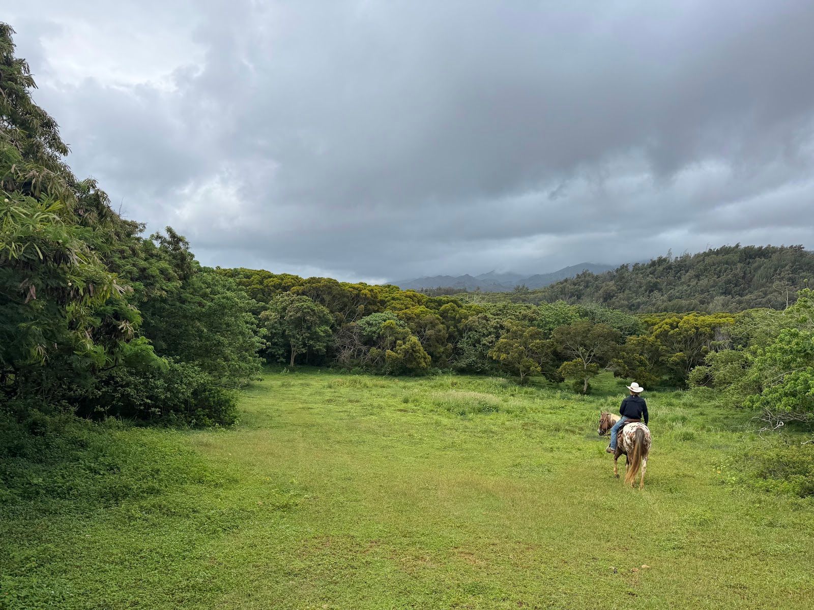 Photo 4 of Gunstock Ranch in Kahuku & Turtle Bay, Oahu