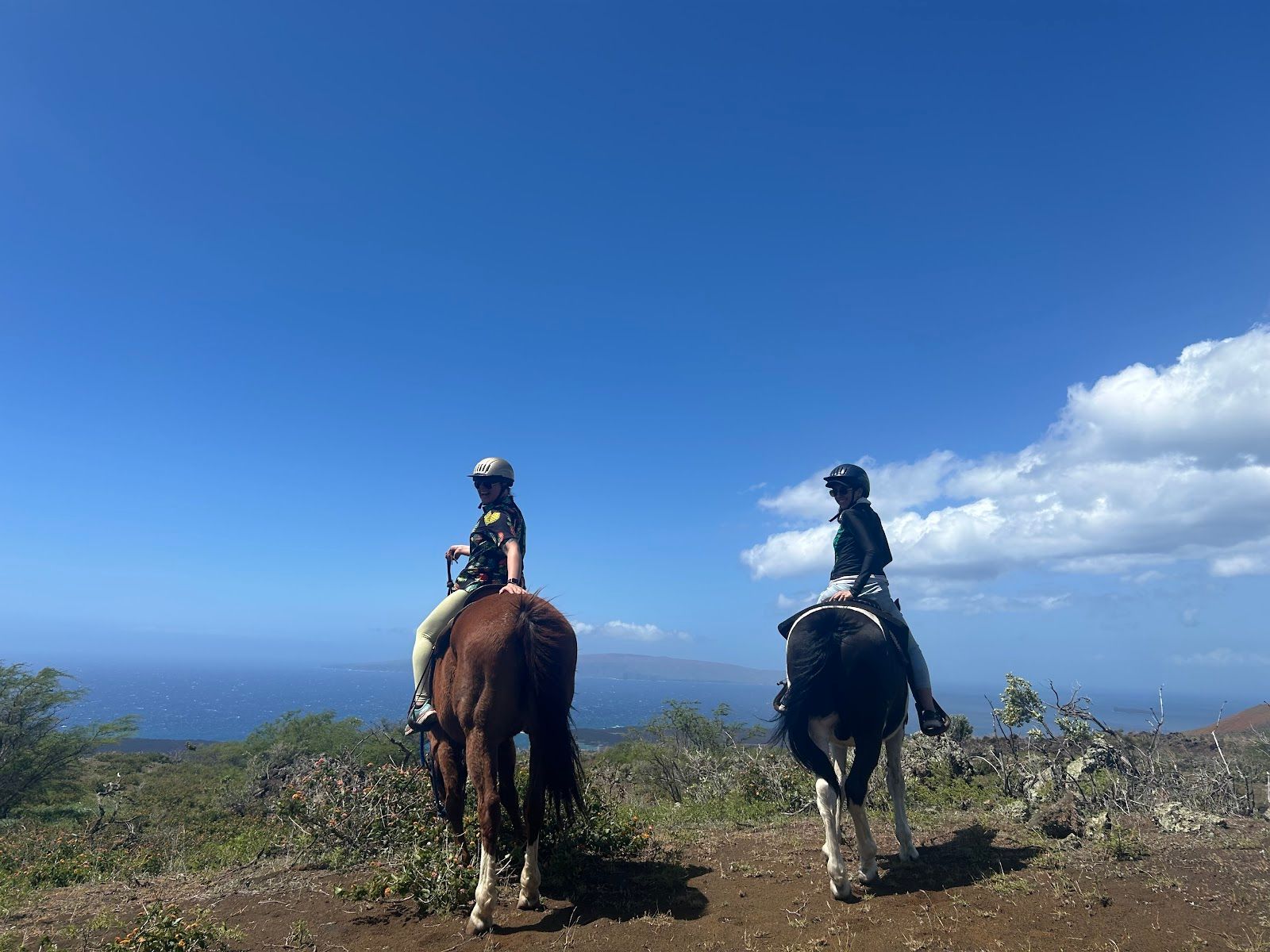Photo 1 of Triple L Ranch Horseback Rides in Ulupalakua, Maui
