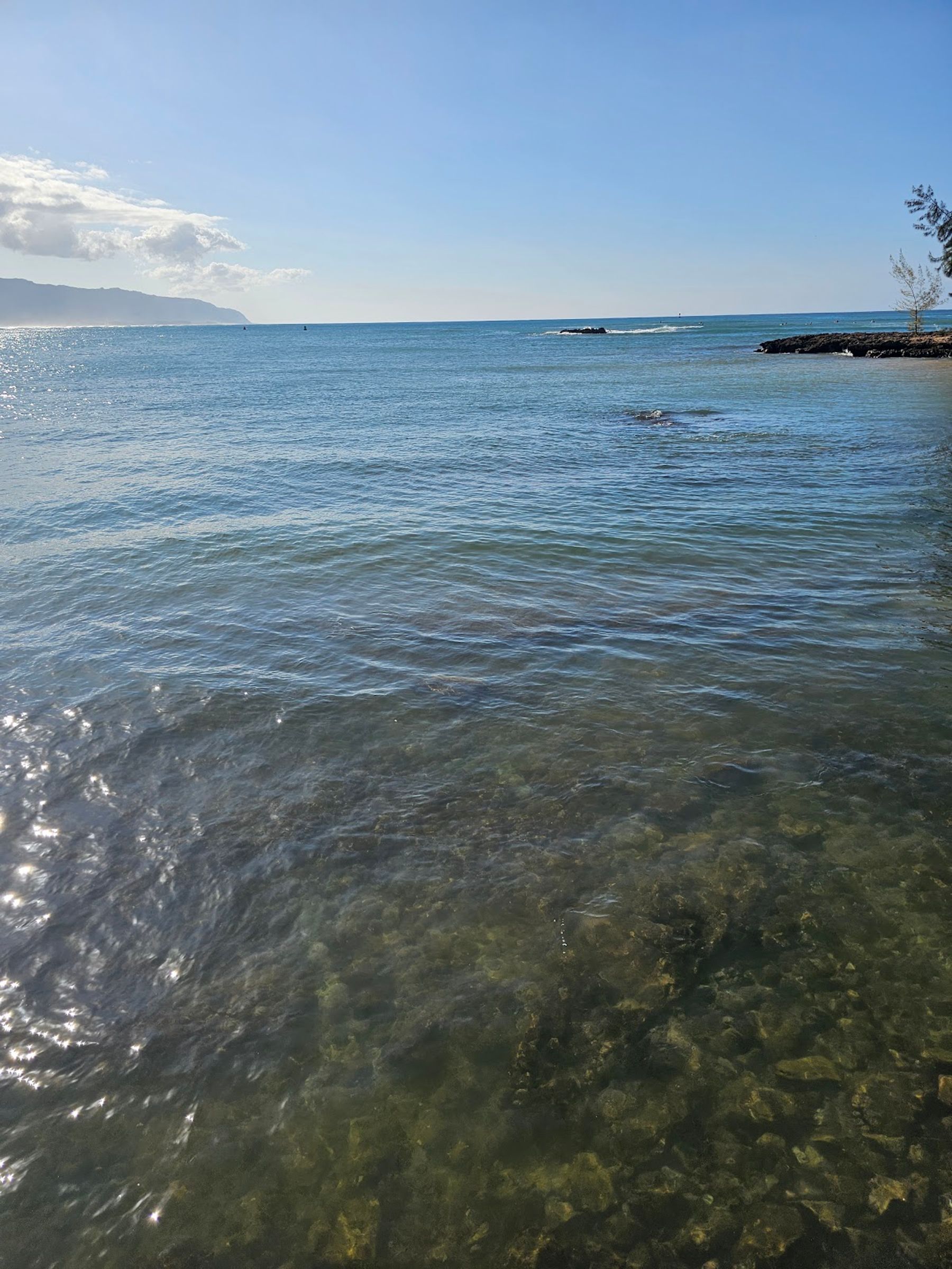 Photo 9 of Haleʻiwa Beach Park in Haleʻiwa, Oahu