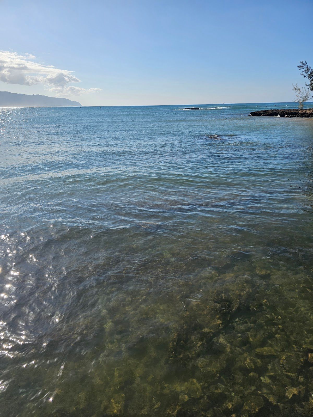 Photo 9 of Haleʻiwa Beach Park in Haleʻiwa, Oahu