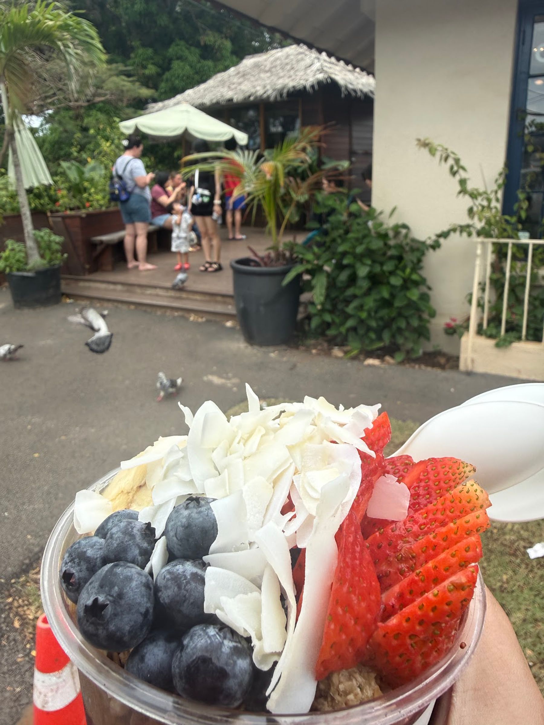 Photo 5 of Haleʻiwa Bowls in Haleʻiwa, Oahu
