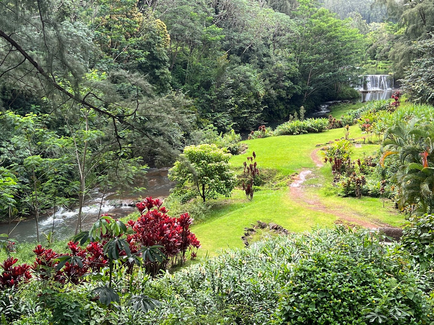 Wai Koa Loop Trail in Kīlauea, Kaua‘i