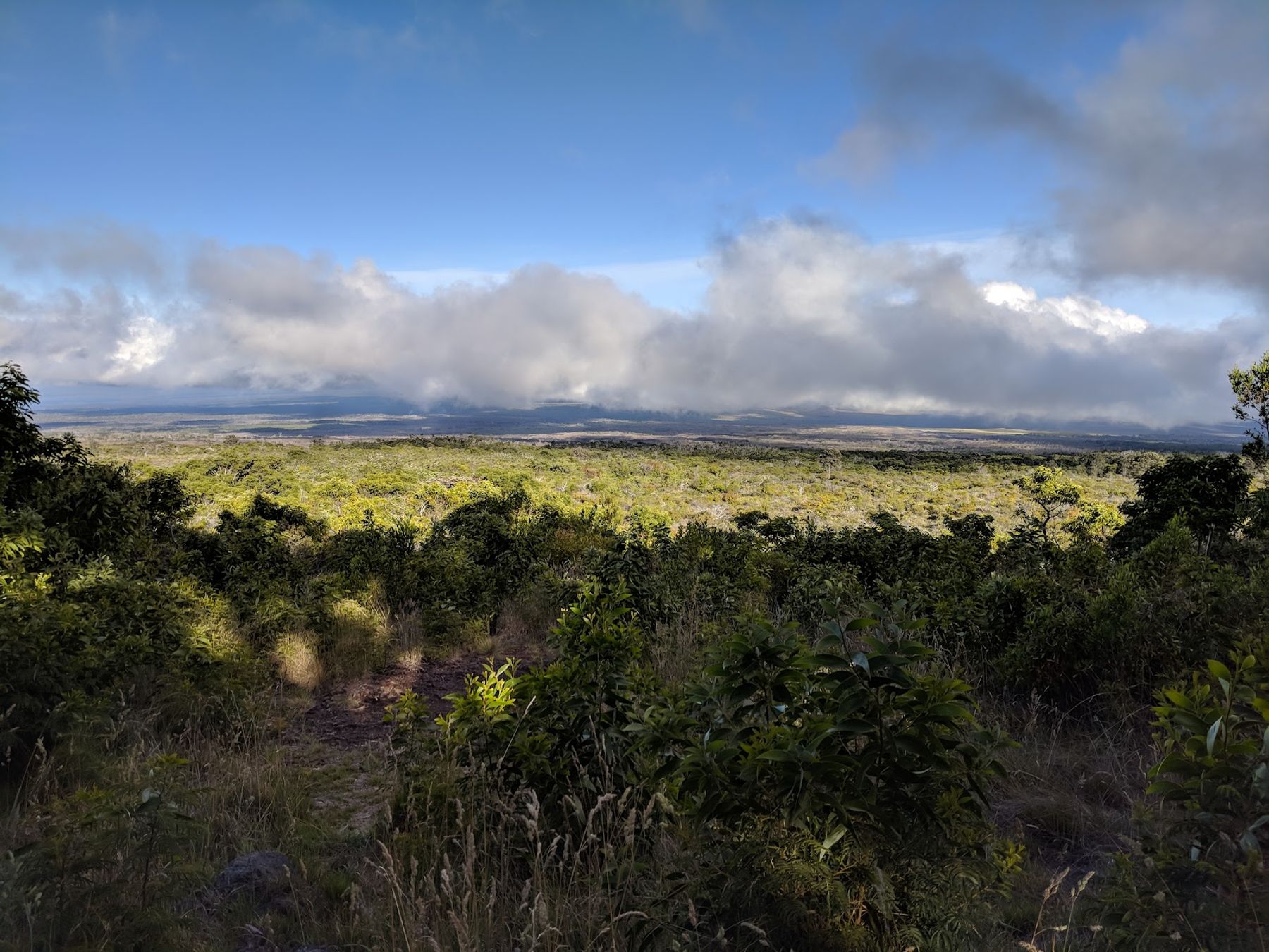 Photo 1 of Mauna Loa Lookout in Mauna Loa Summit, Big Island