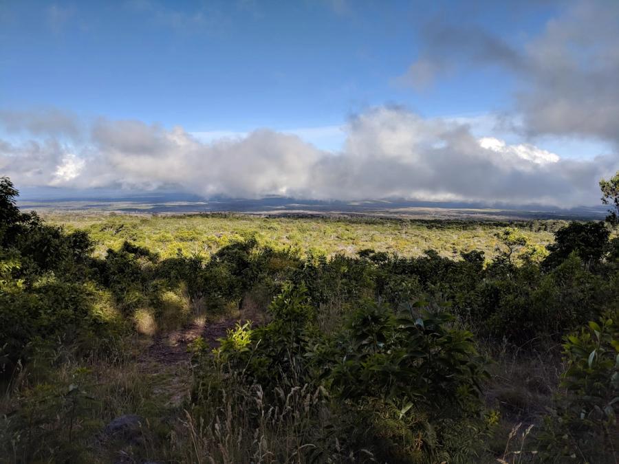 Photo 1 of Mauna Loa Lookout in Mauna Loa Summit, Big Island