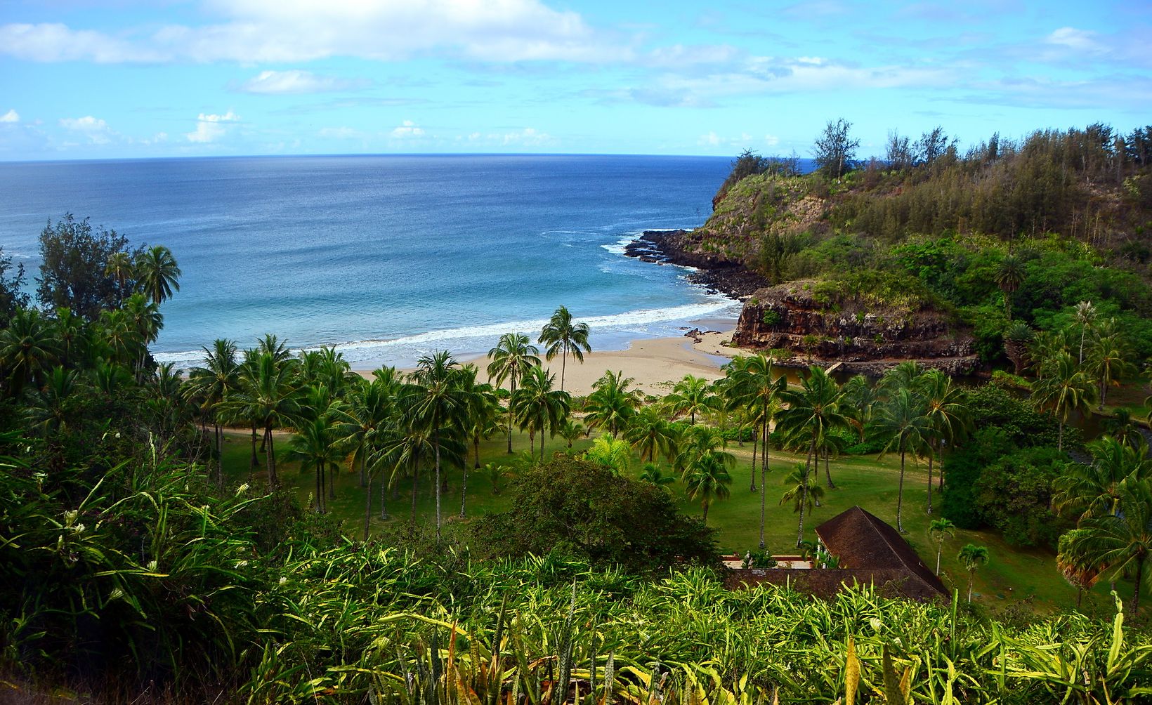 Tropical palms and garden greenery overlooking a sandy cove, rocky headland, and calm blue ocean under a partly cloudy sky