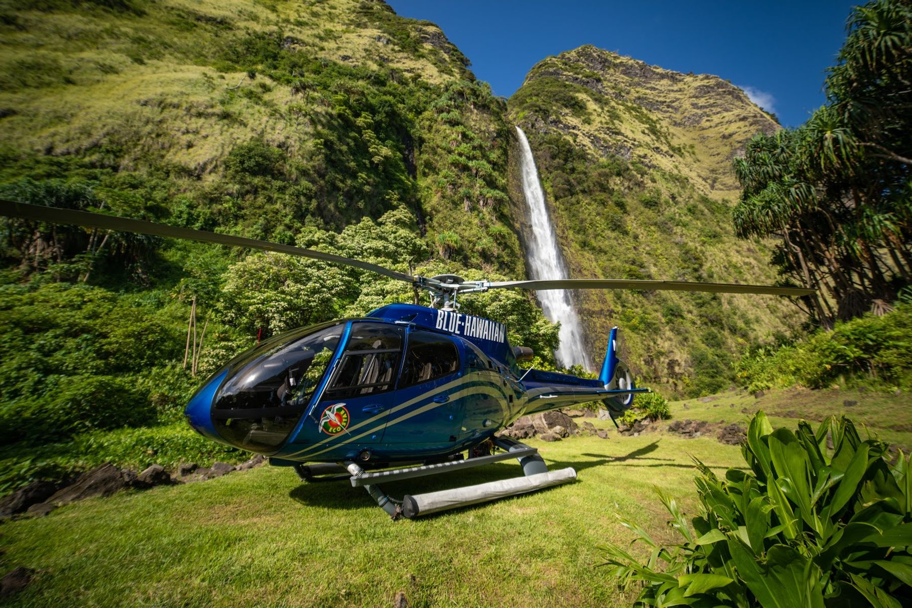 Photo 1 of Blue Hawaiian Helicopters in Waikoloa, Big Island