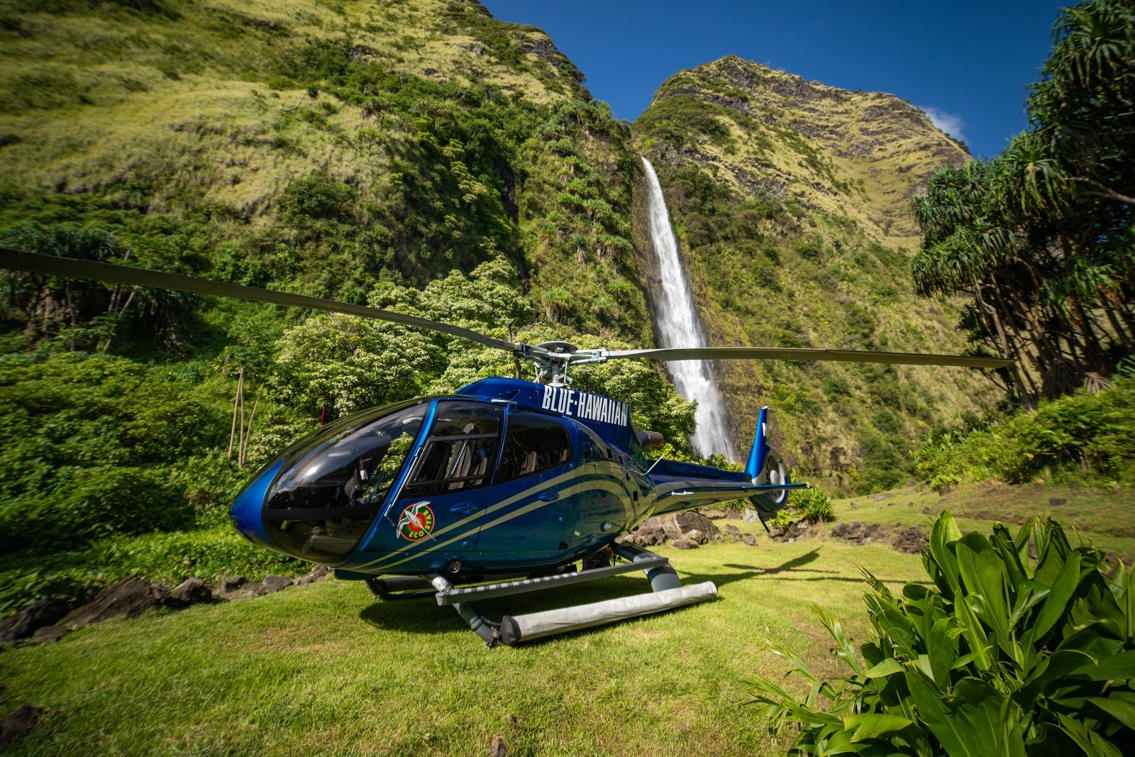 Photo 1 of Blue Hawaiian Helicopters in Waikoloa, Big Island