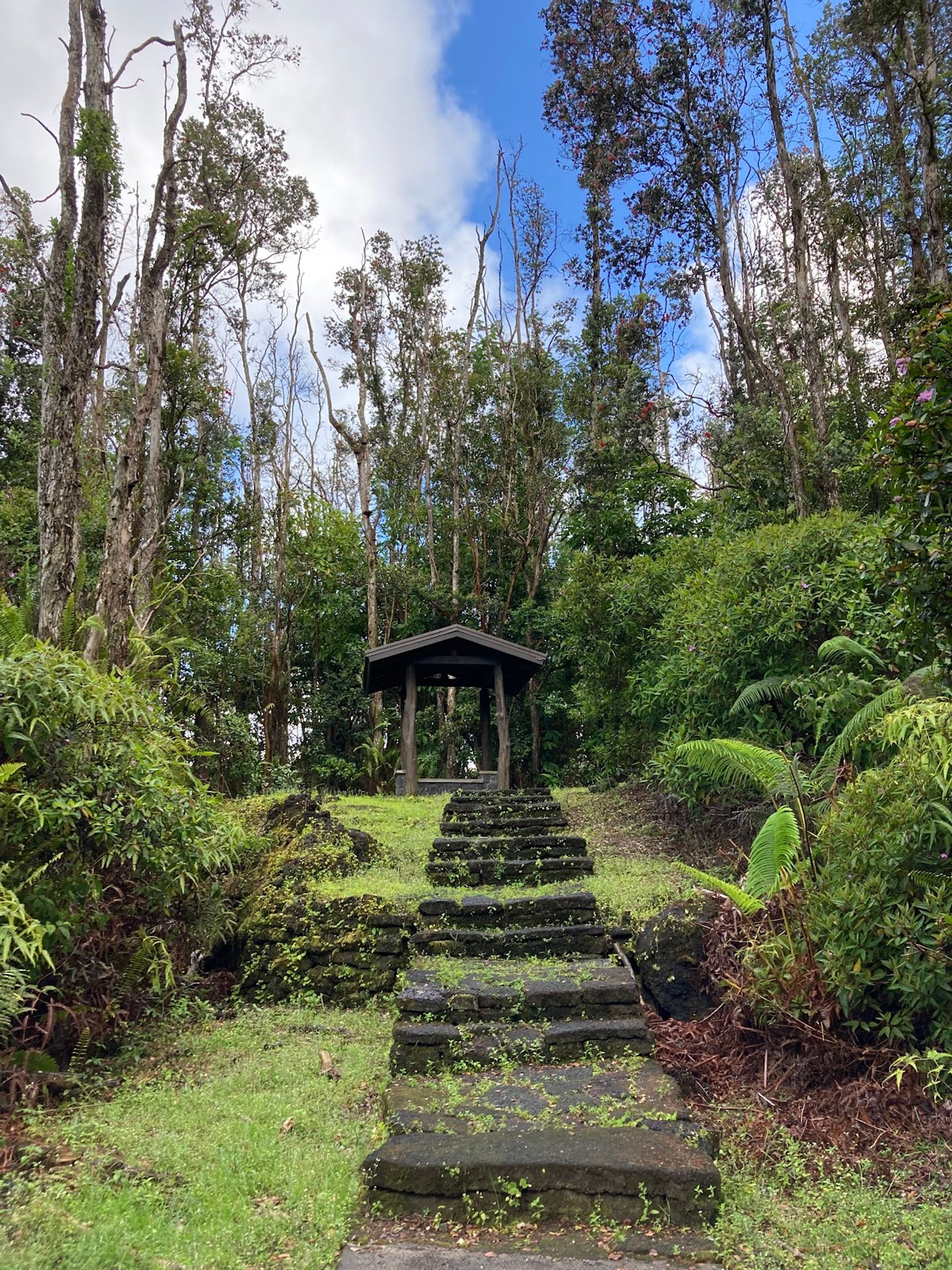 Photo 5 of Lava Tree State Monument in Pāhoa, Big Island