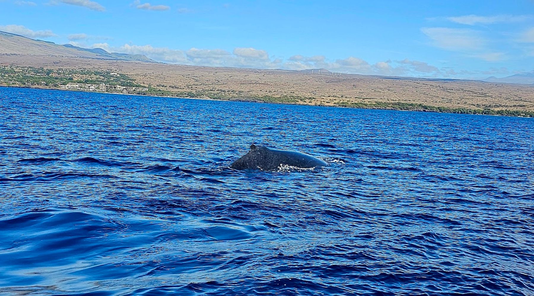 Photo 5 of Da Whale Boat in Mauna Kea Beach, Big Island
