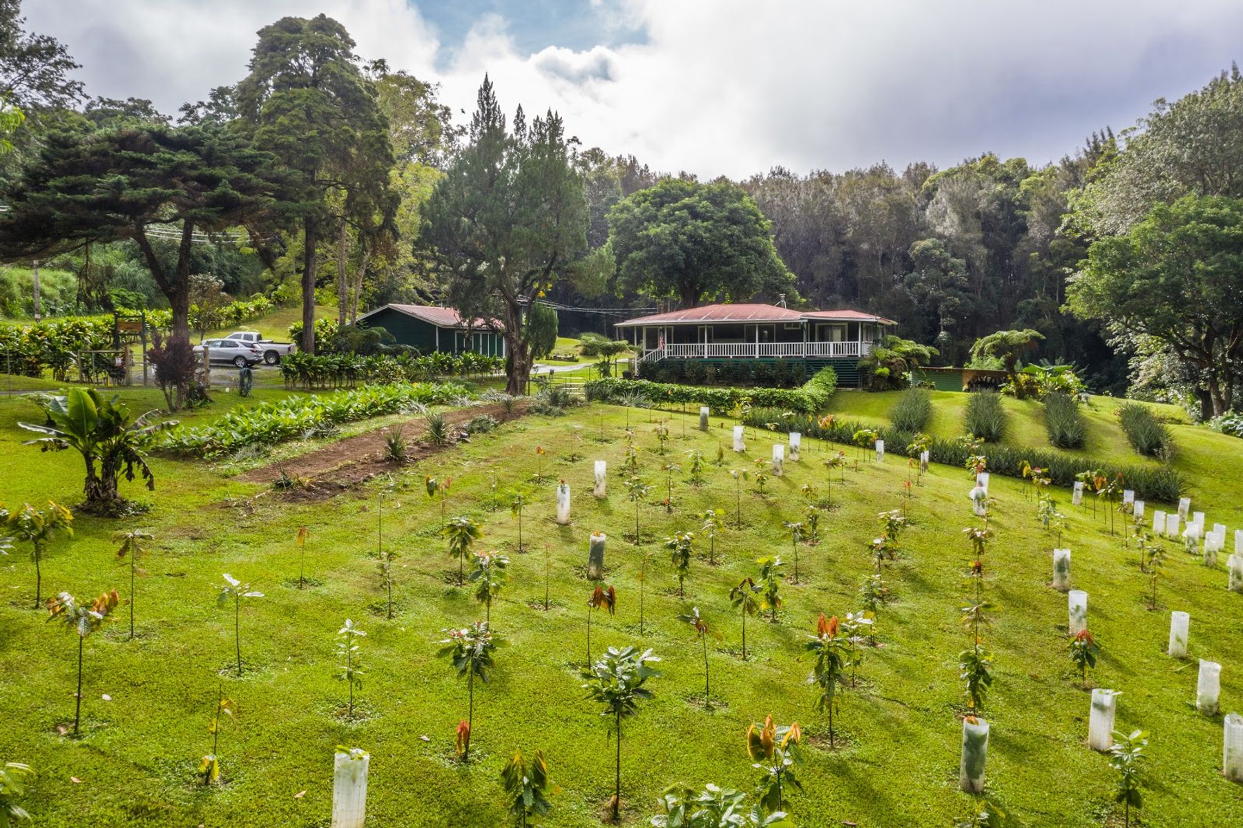 Photo 1 of Honoka'a Chocolate Farm in Honokaʻa, Big Island