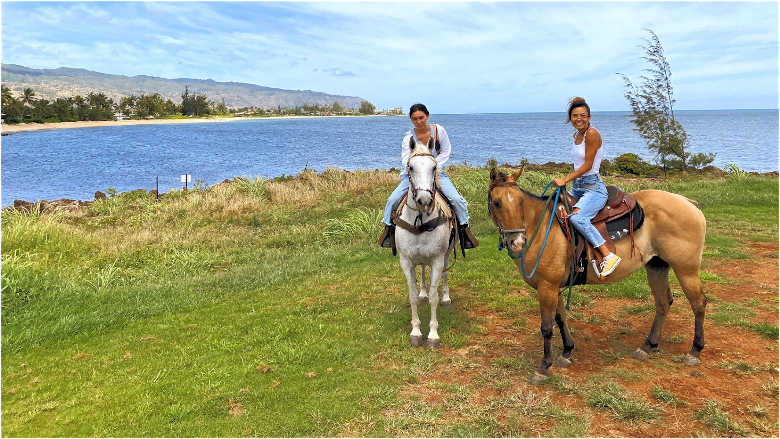 Photo 1 of North Shore Stables in Waialua & Mokulēʻia, Oahu