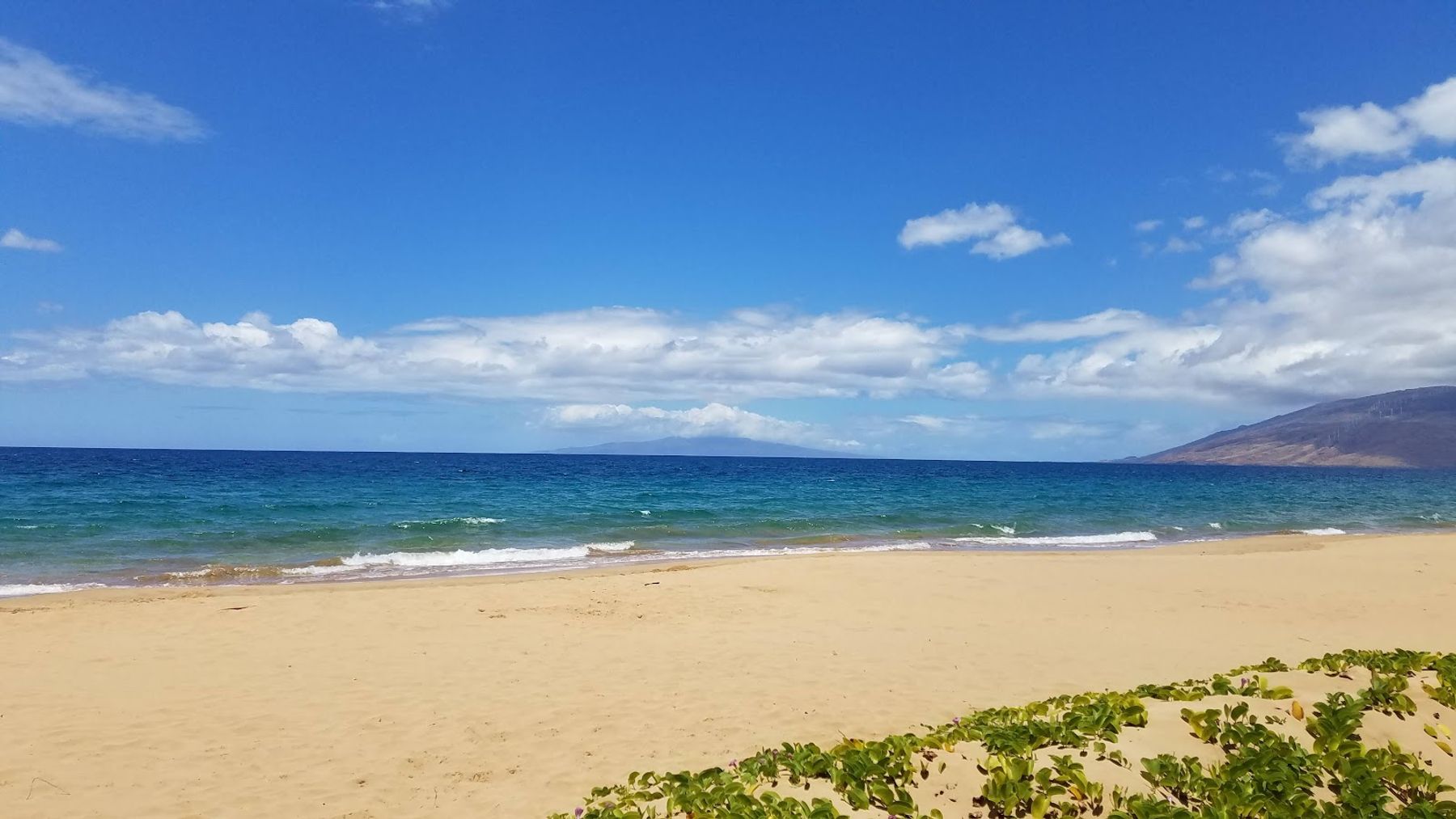 Photo 8 of Kamaole Beach Park II in Kīhei, Maui