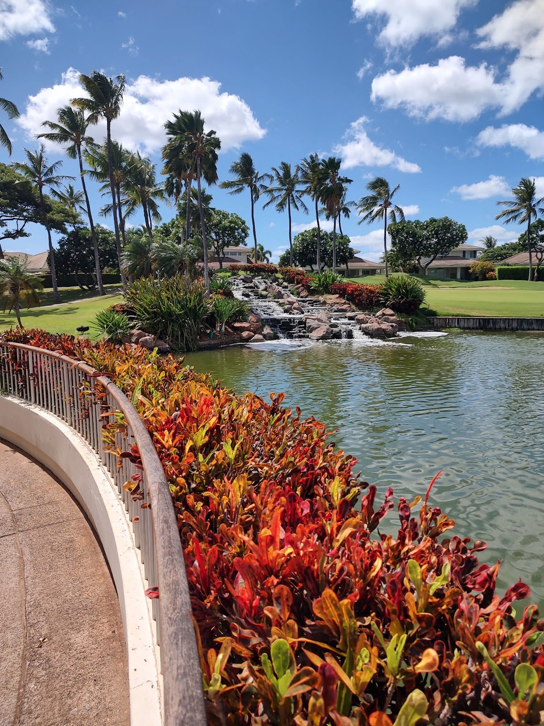 Photo 7 of Roy's Ko Olina in Ko Olina, Oahu