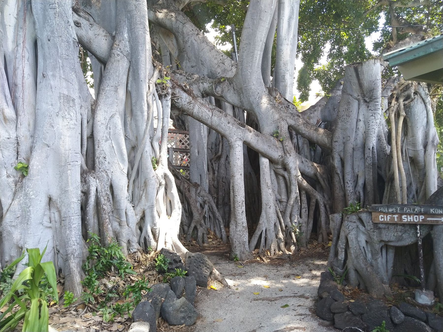 Photo 4 of Hulihe‘e Palace in Kailua-Kona, Big Island