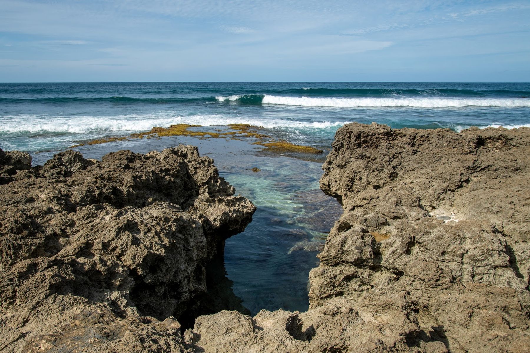 Photo 8 of Kaʻena Point State Park in Waialua & Mokulēʻia, Oahu