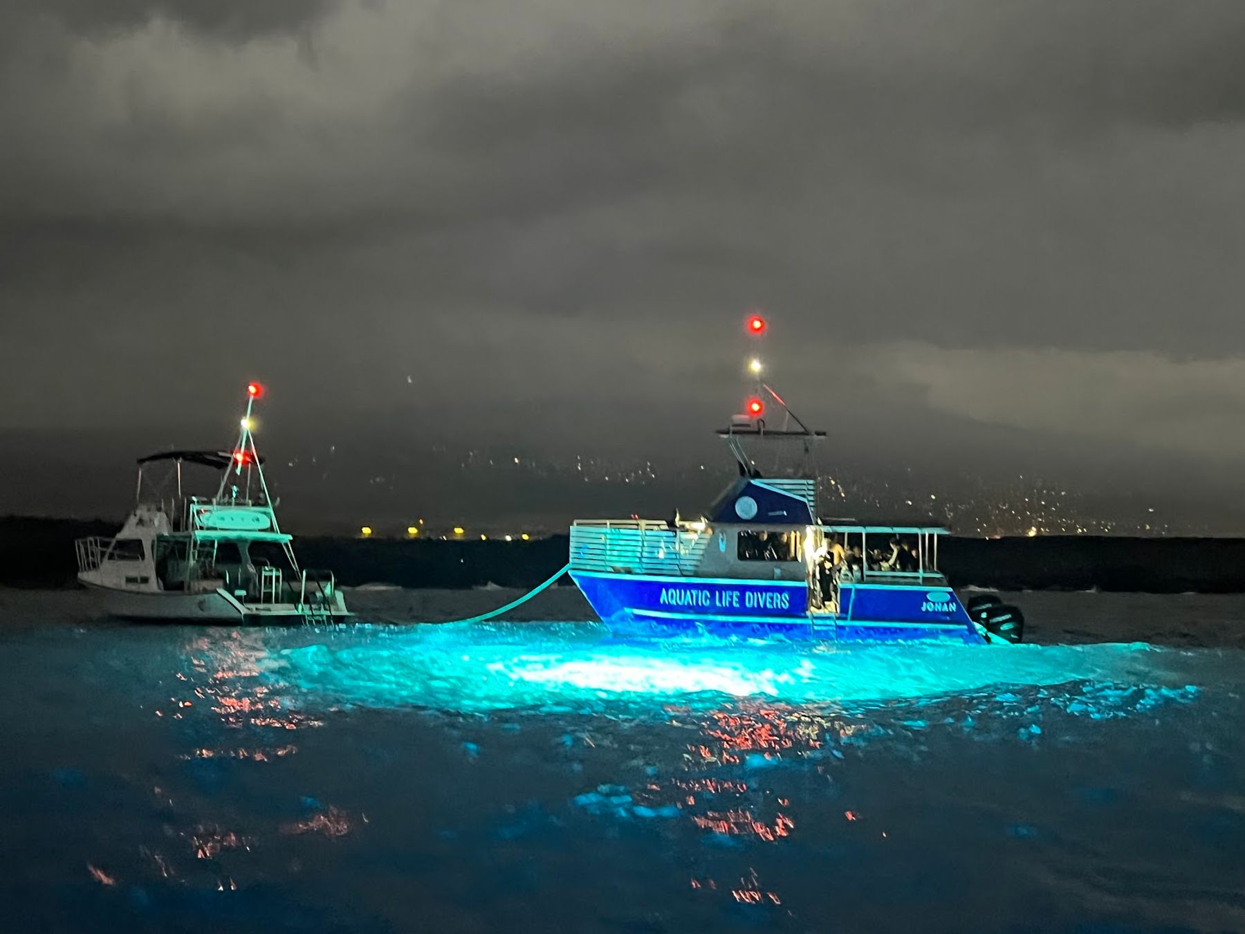 Photo 4 of Manta Ray Night Snorkel in Kailua-Kona, Big Island
