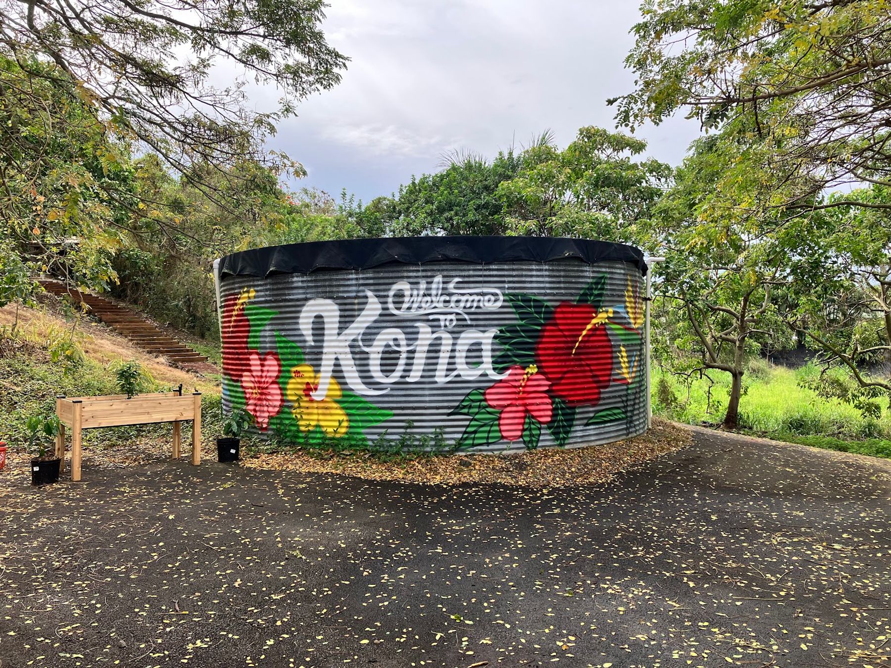 Photo 1 of Rising Kona Coffee Farm Tours in Hōlualoa, Big Island