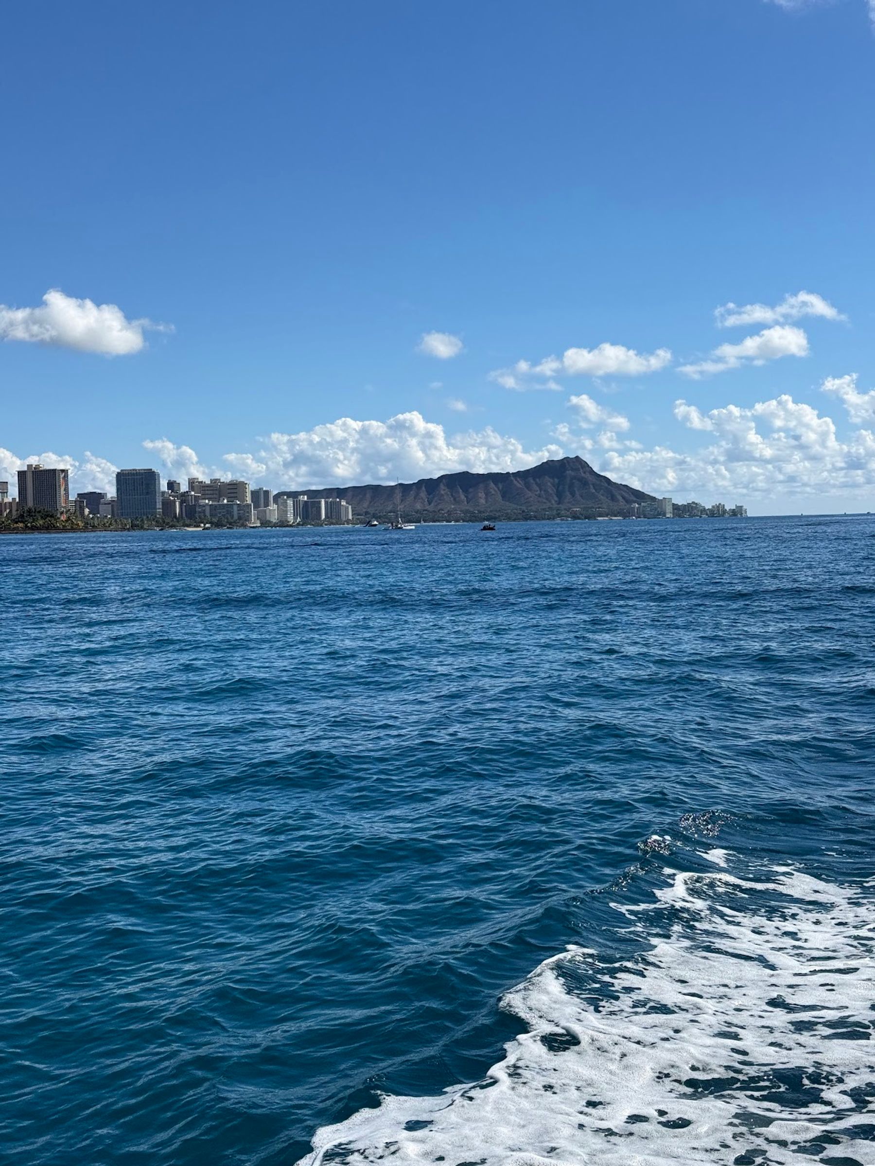 Photo 8 of Honolulu Snorkel Company in Ala Moana & Mōʻiliʻili, Oahu