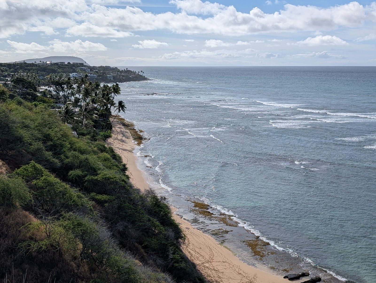 Photo 10 of Hawaii Turtle Tours in Ala Moana & Mōʻiliʻili, Oahu