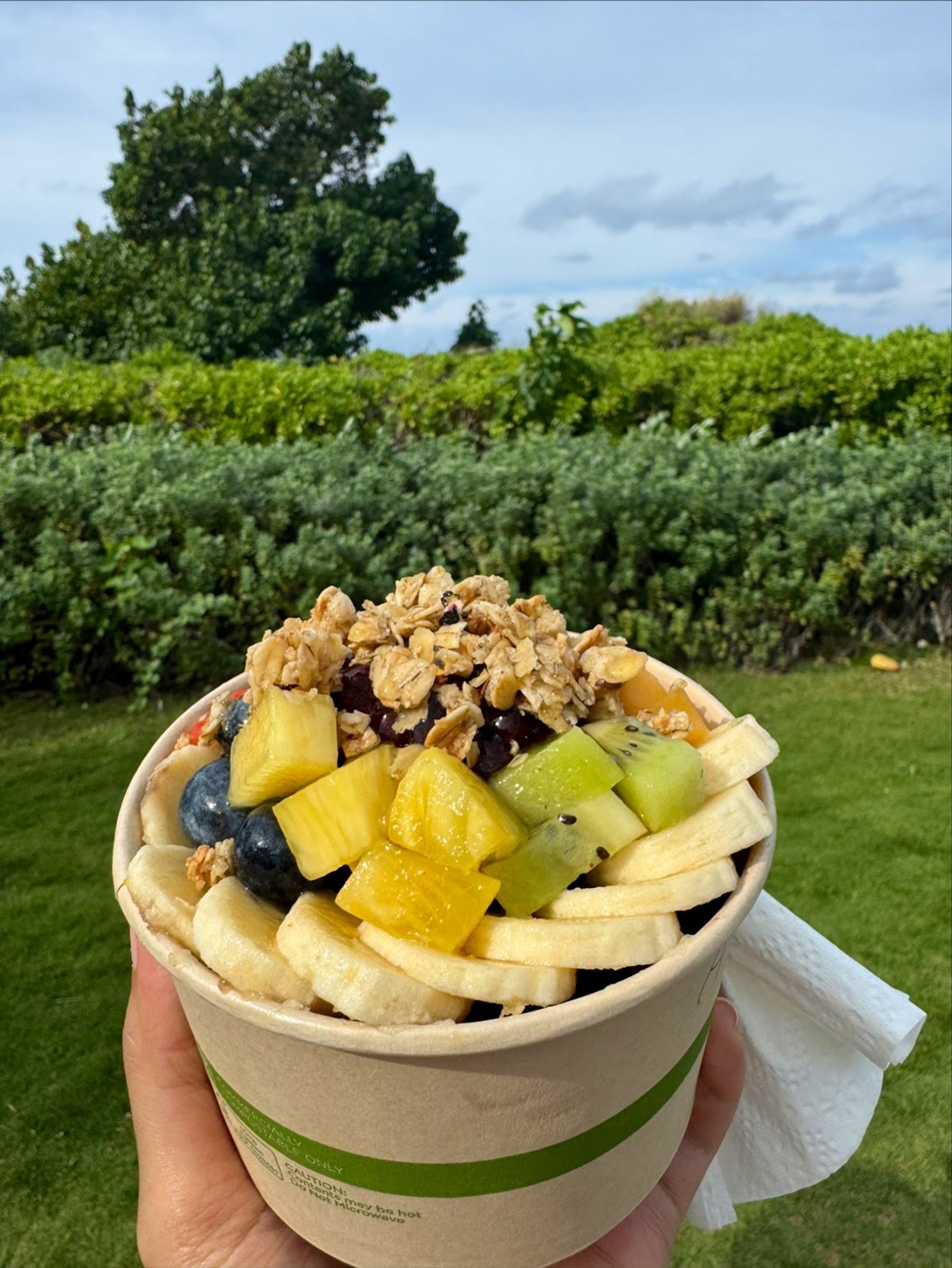 Photo 4 of Maui Fruit Ninja in Kāʻanapali, Maui