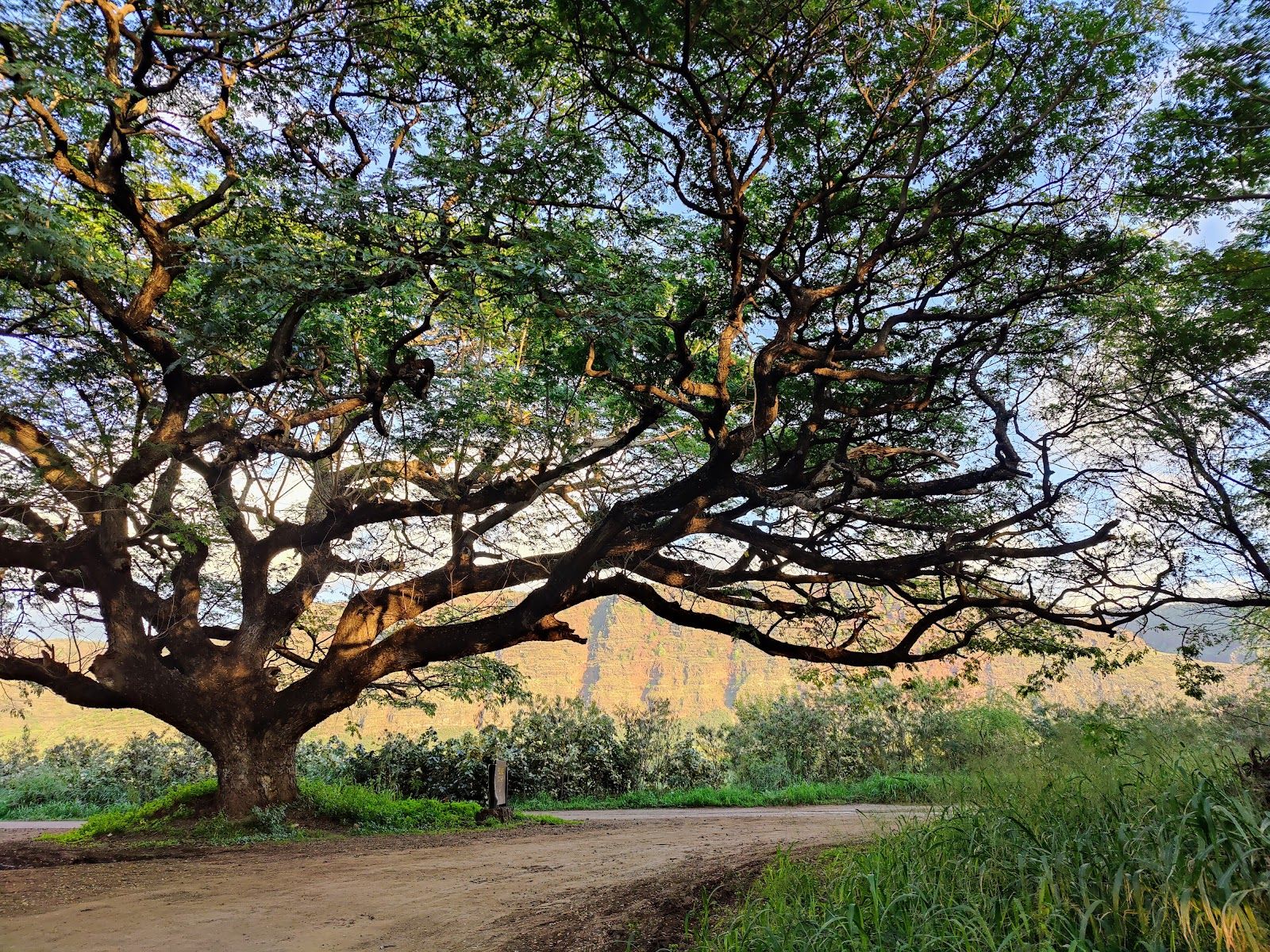 Polihale State Park in Kekaha, Kaua‘i photo 6