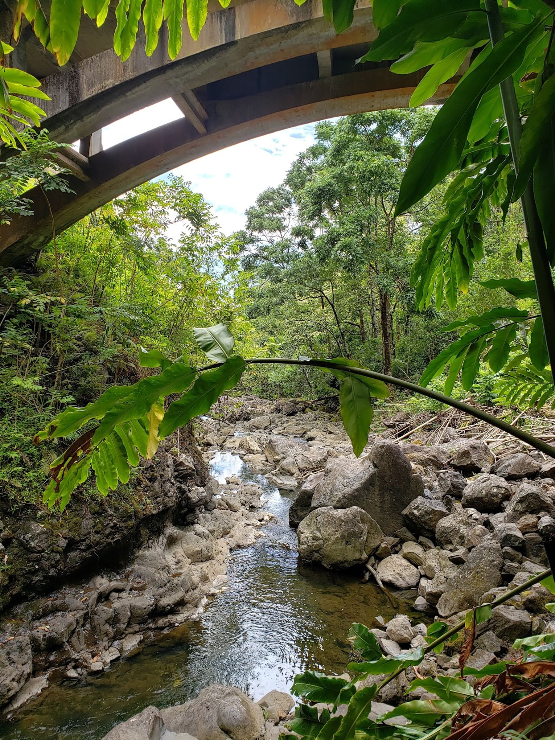 Photo 8 of Upper Waikani Falls in Keʻanae-Nāhiku, Maui