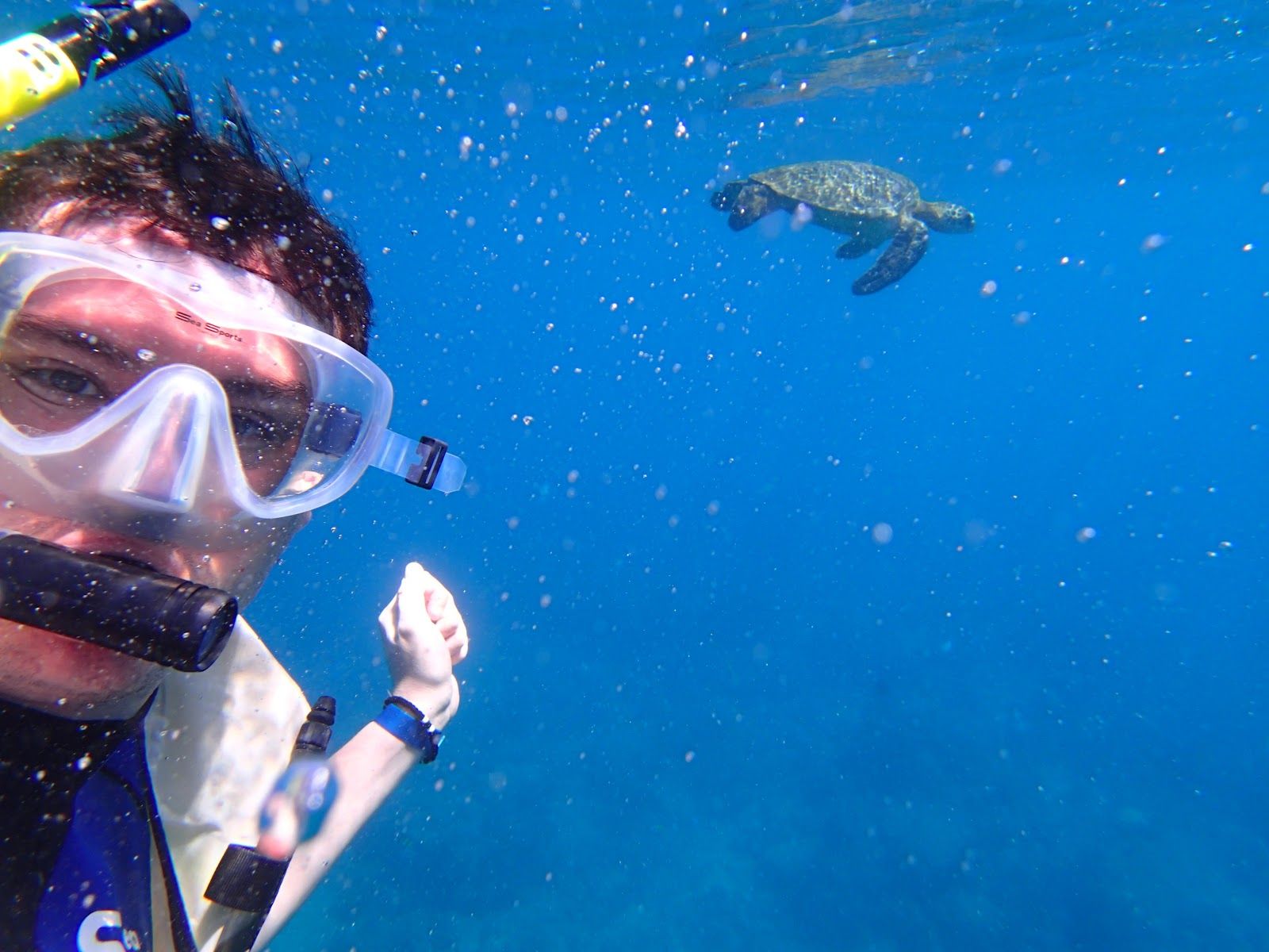 Kauai Z-Tours in Kōloa, Kaua‘i photo 4