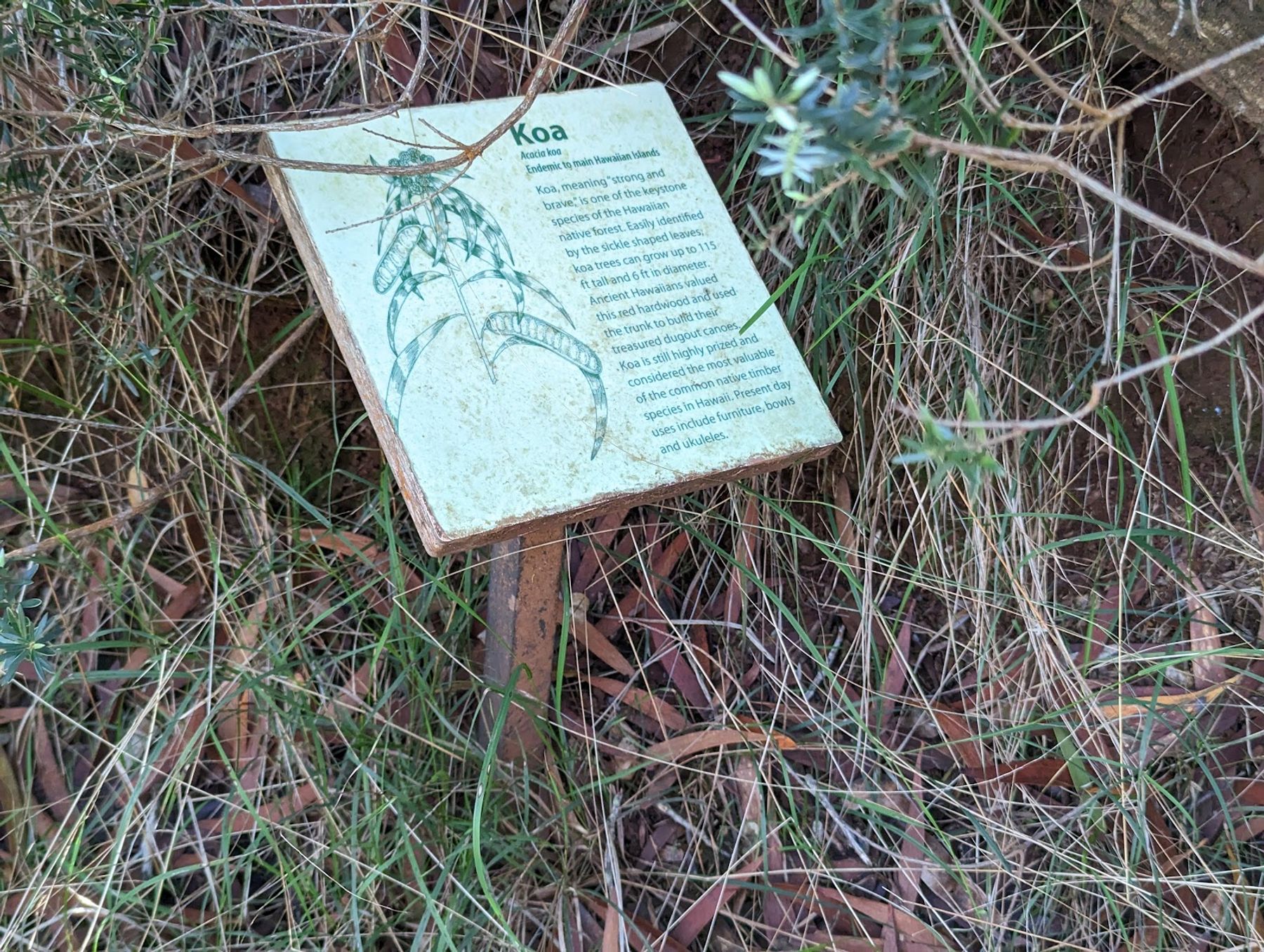 Kukui Trail in Waimea, Kaua‘i photo 3