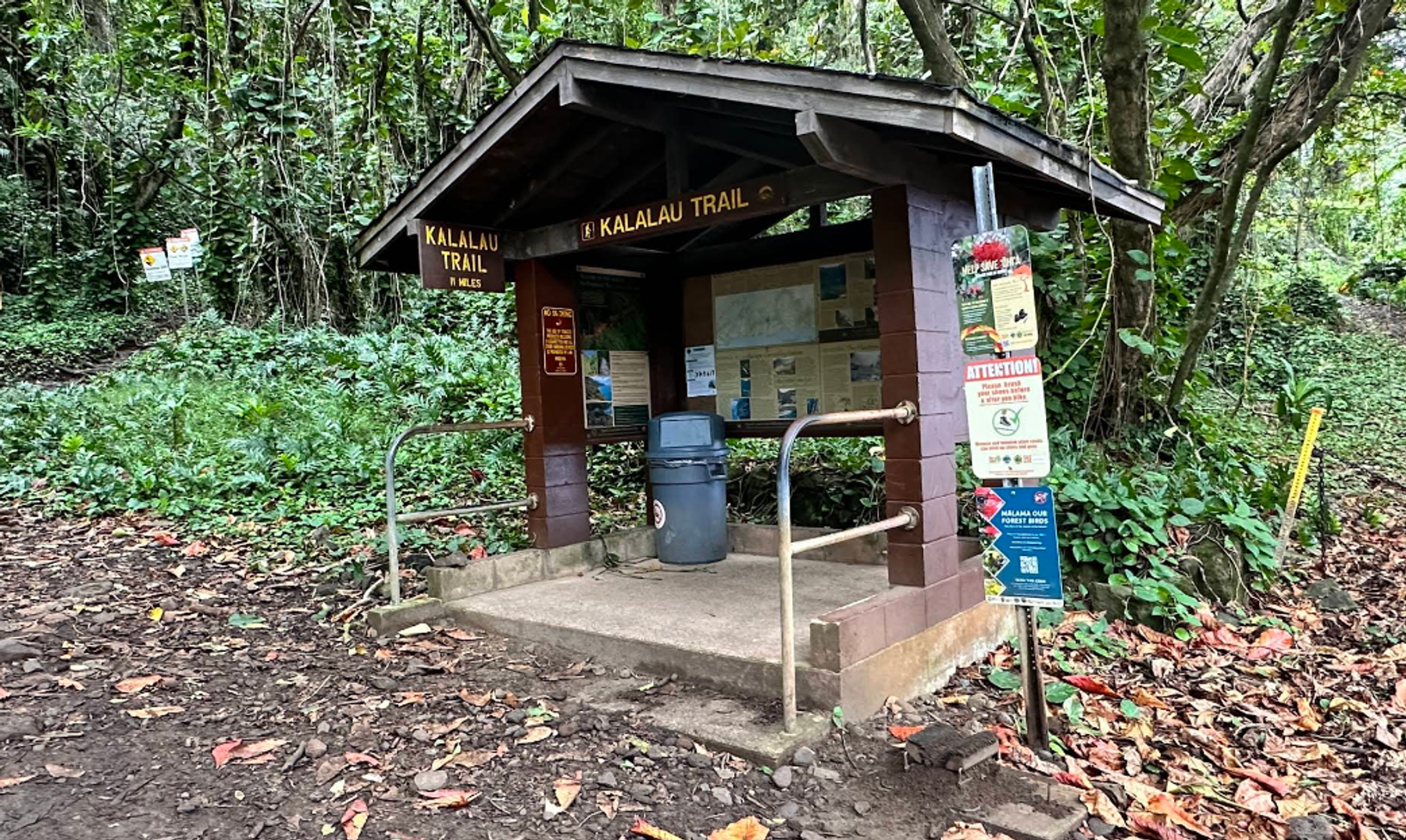 Kalalau Trail in Haena, Kaua‘i photo 7