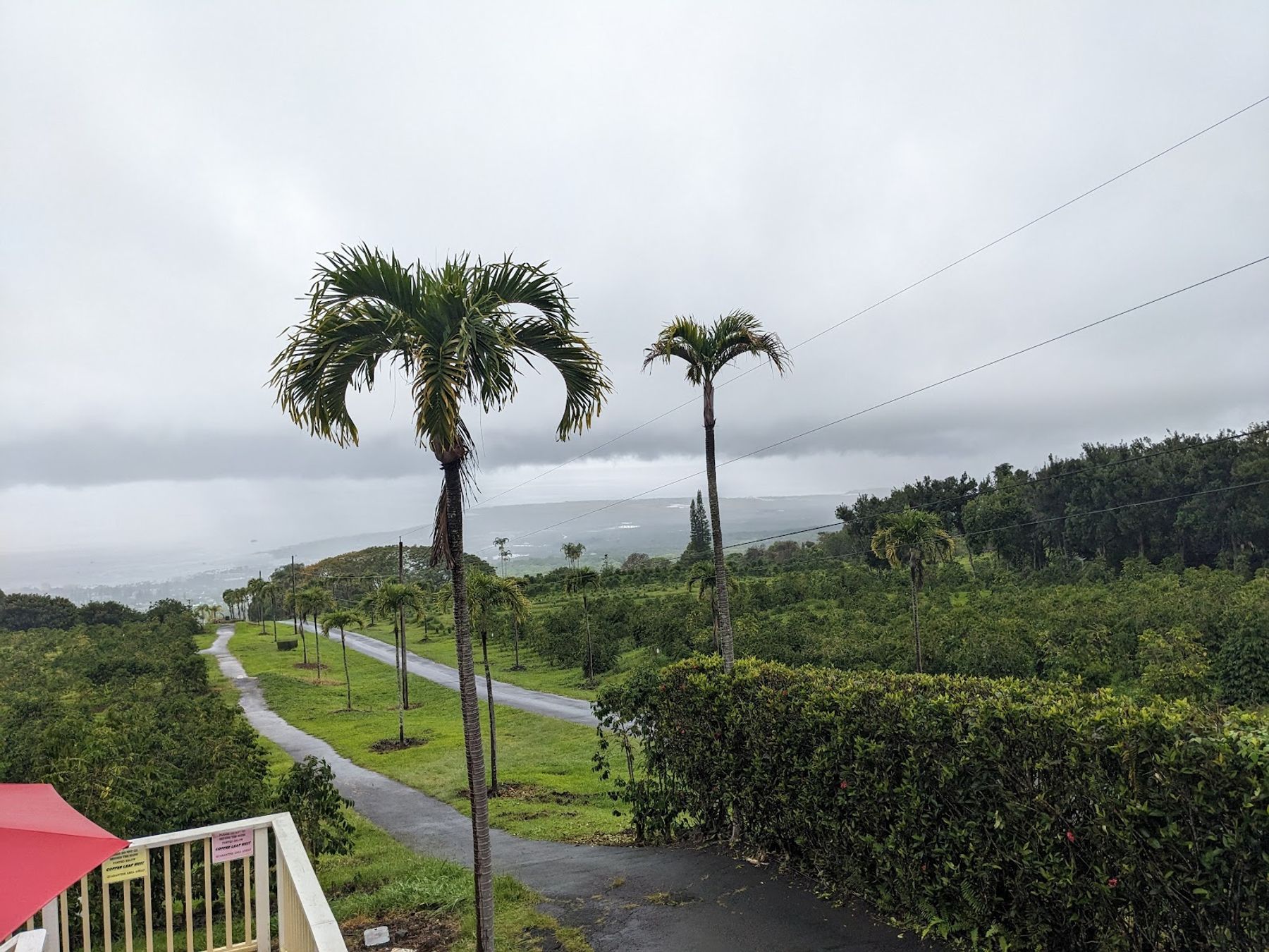 Photo 7 of UCC Hawaii in Hōlualoa, Big Island