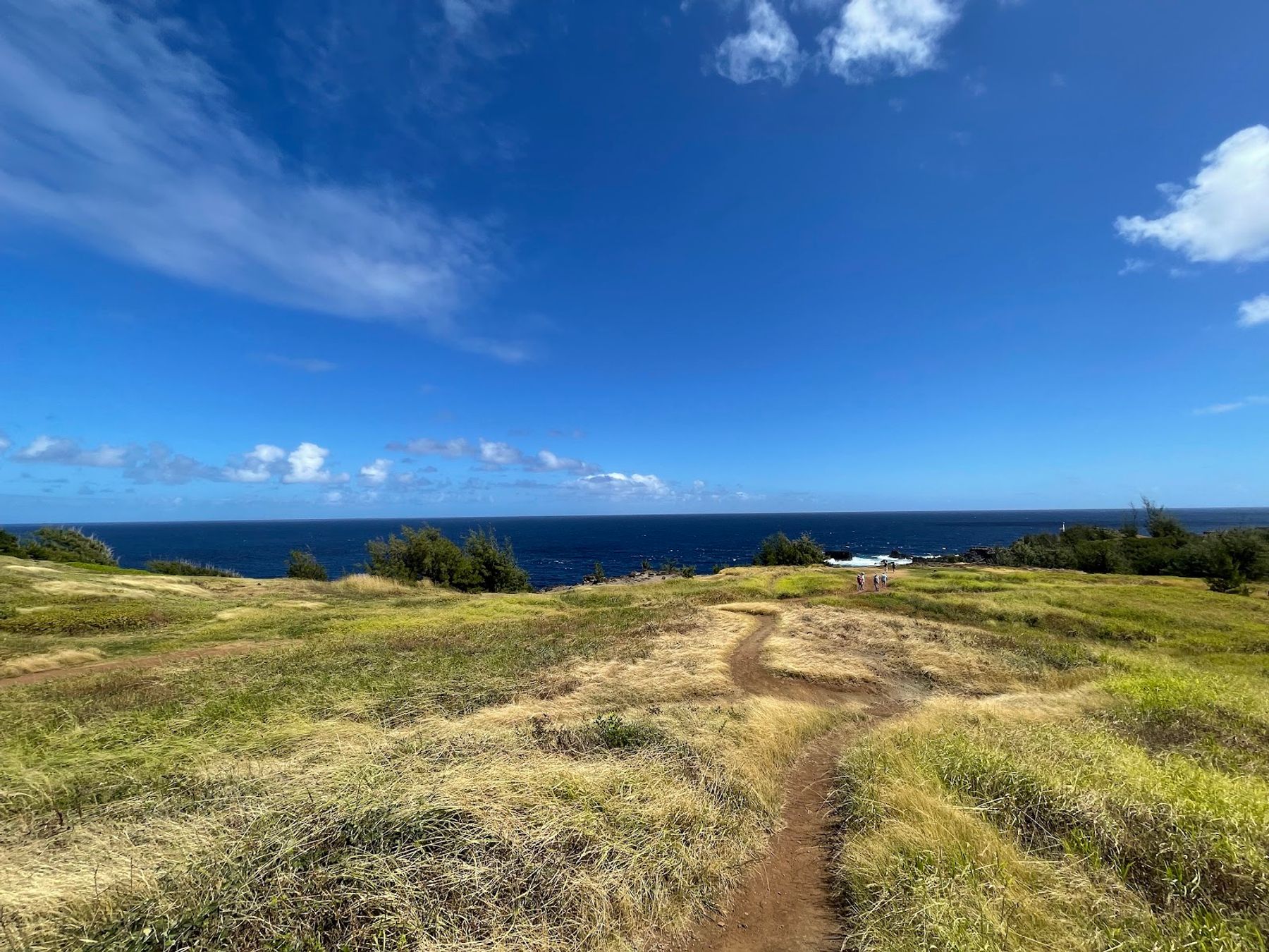 Photo 5 of Acid War Zone Trail in Kapalua, Maui